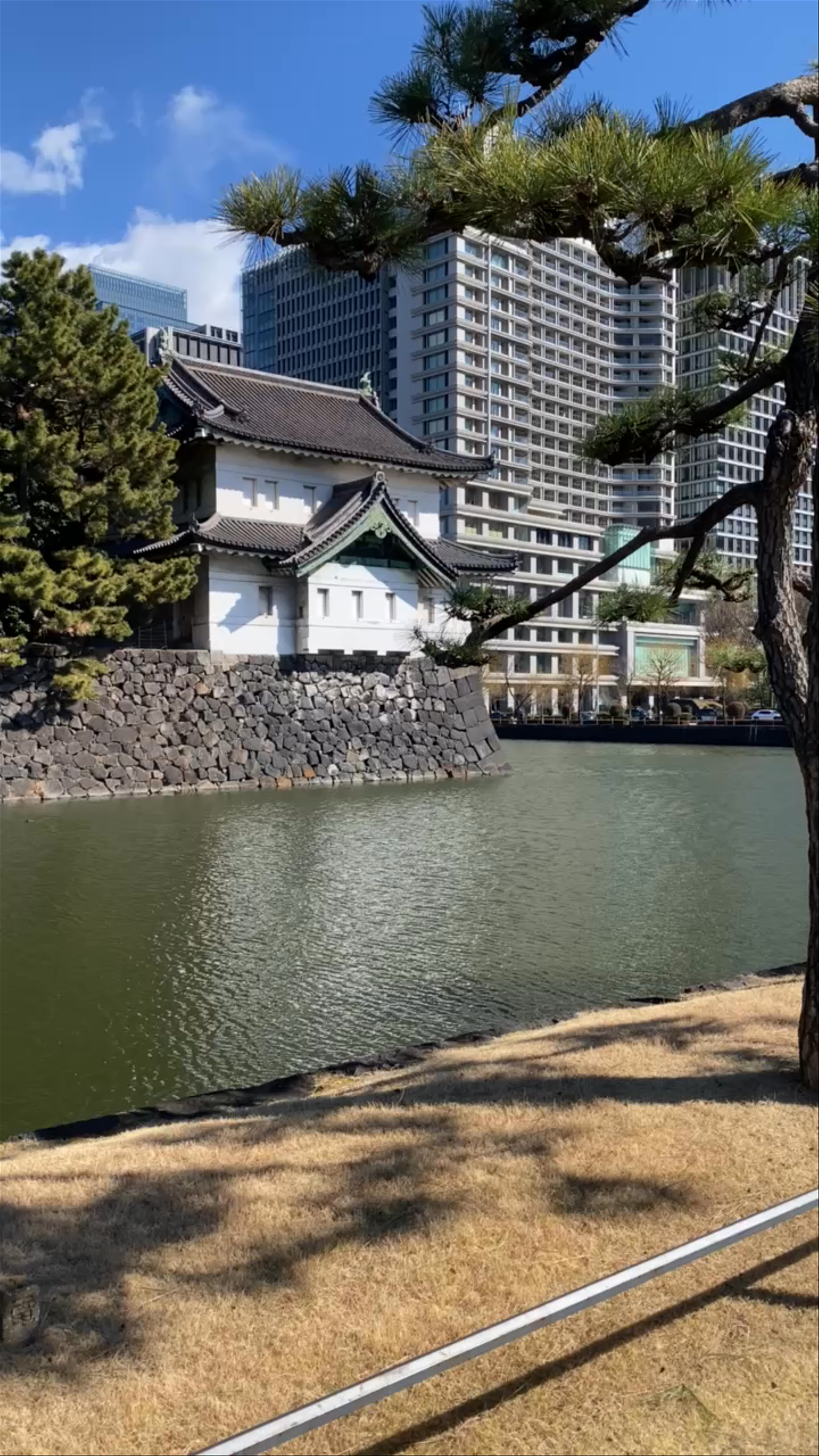 Imperial Palace: Timeless Serenity in the Heart of Tokyo