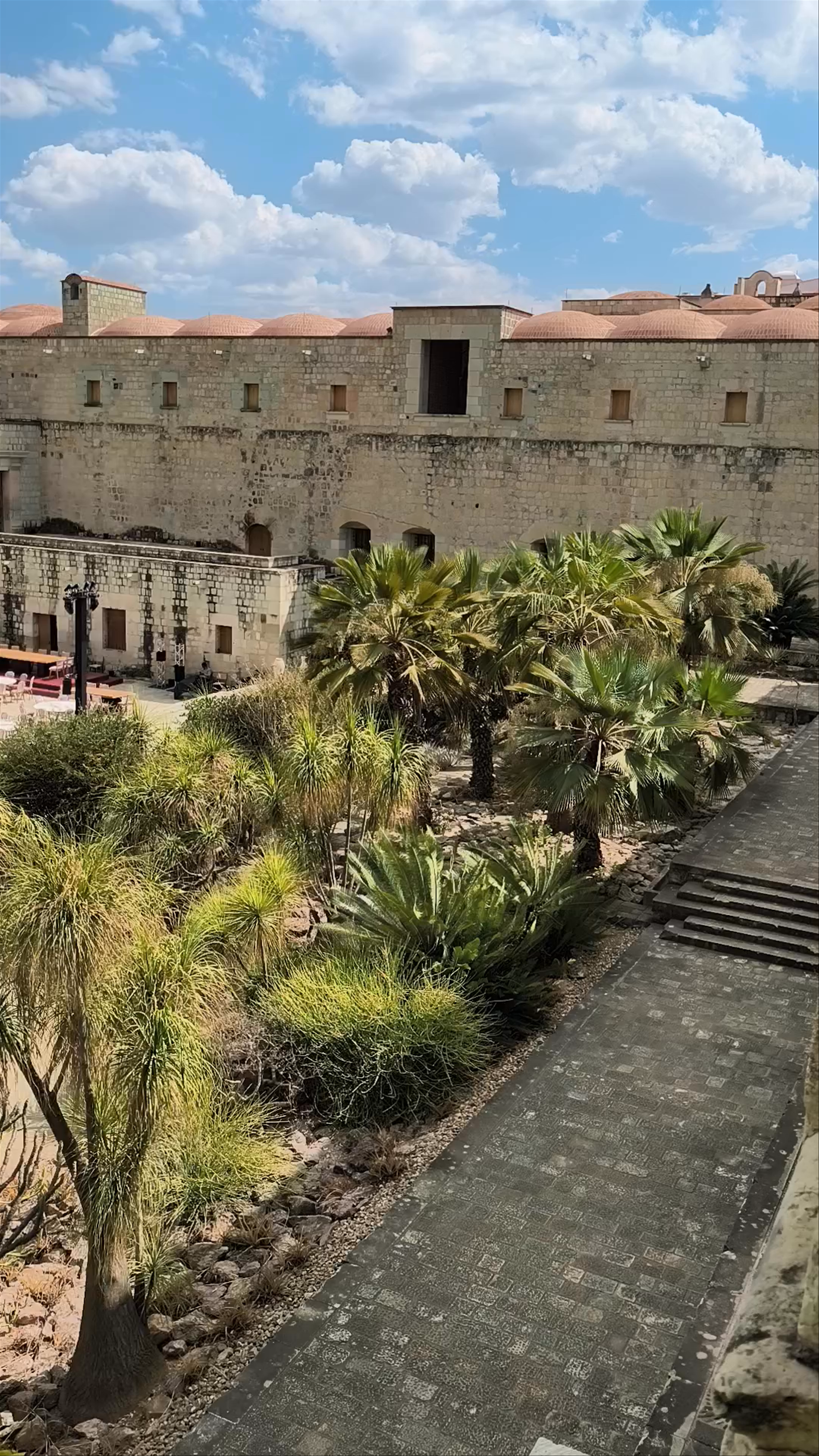 Jardín Etnobotánico de Oaxaca