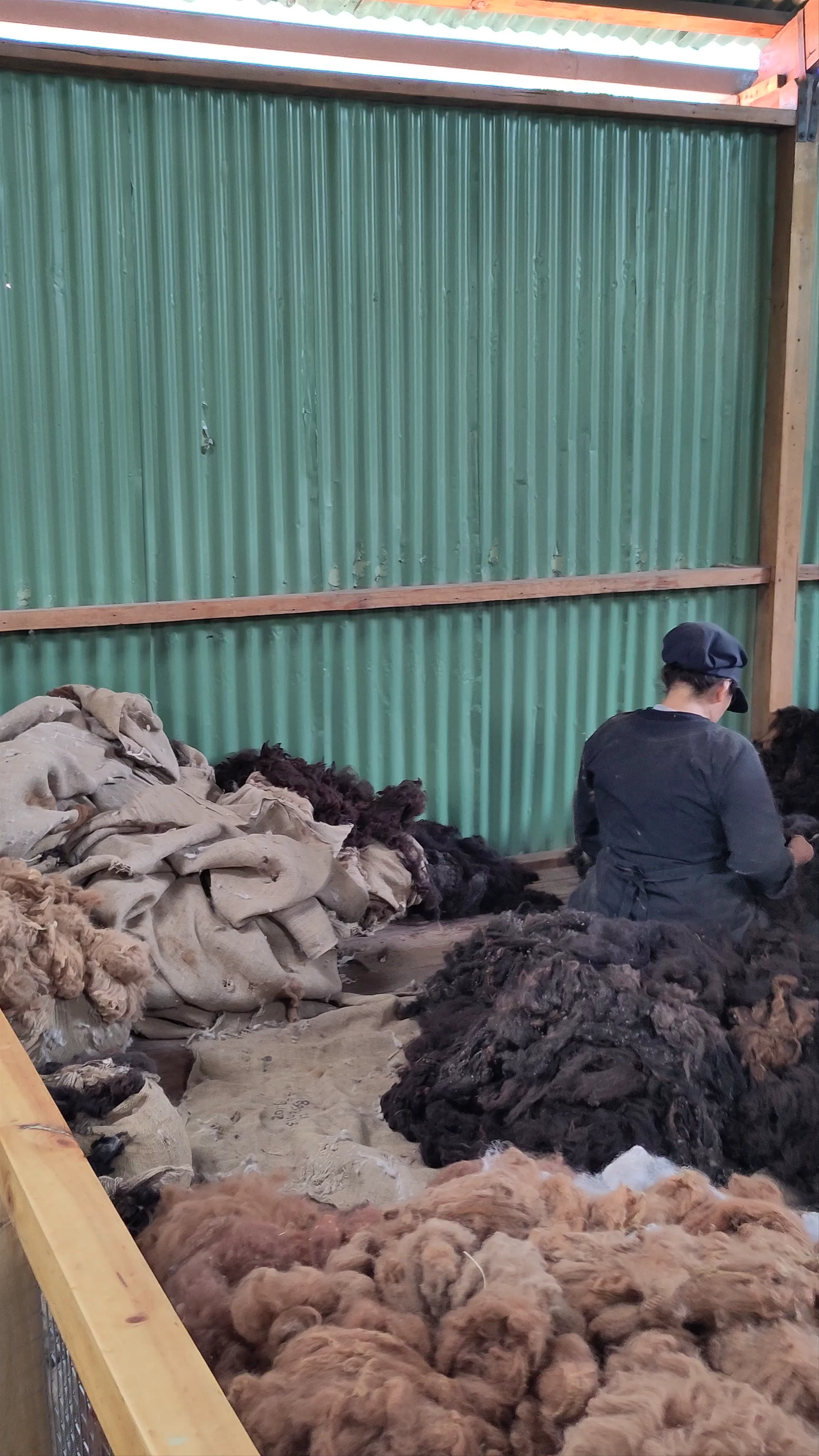Mundo Alpaca, Alameda San Lázaro