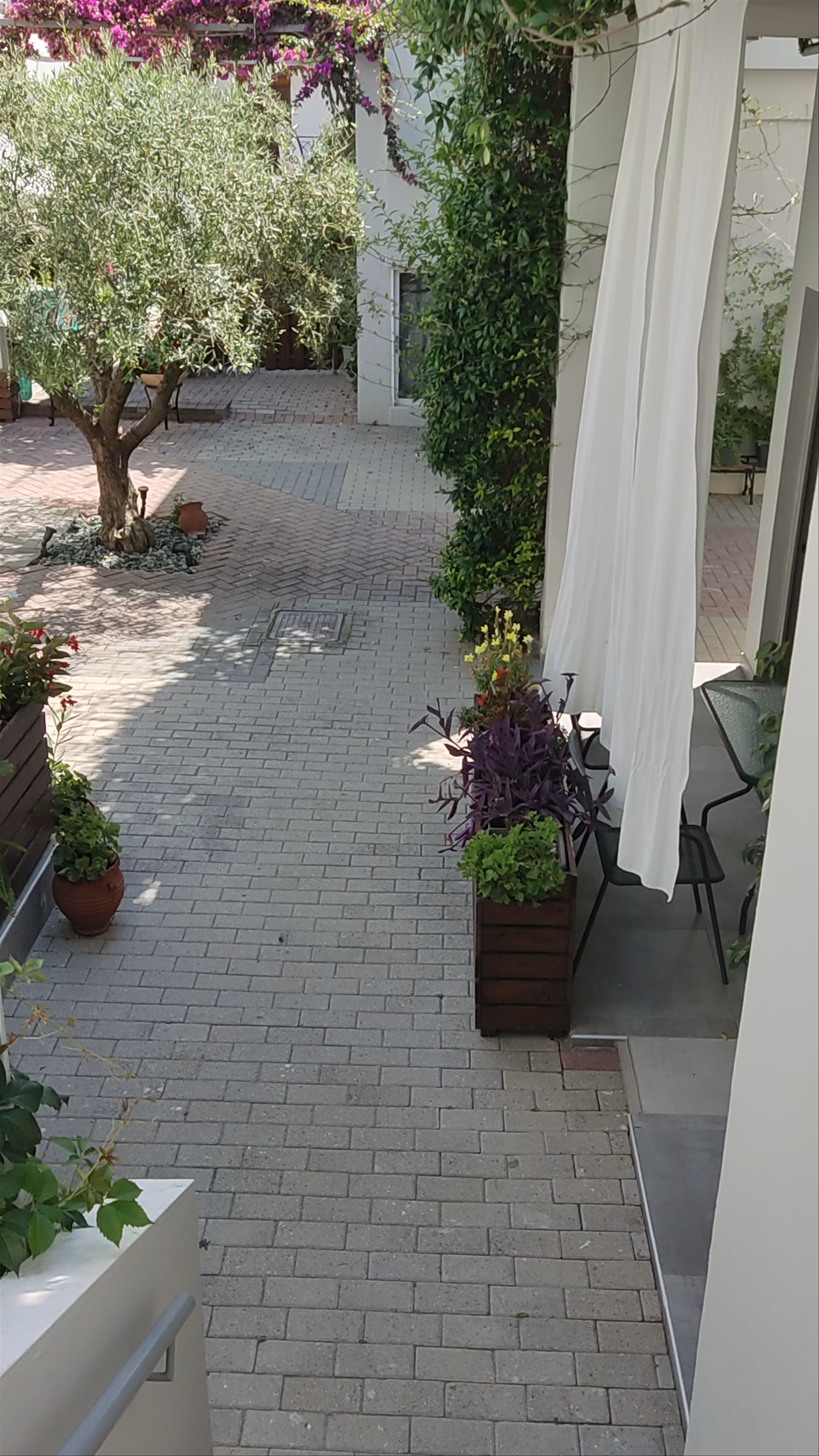 Serene Courtyard Vibes at Armyra Studios, Pefkochori Greece