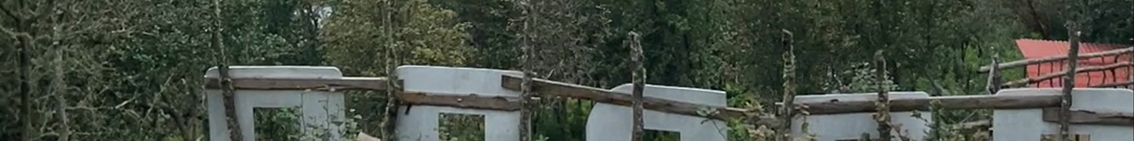 Tours & experiences in Miahuatlán de Porfirio Díaz