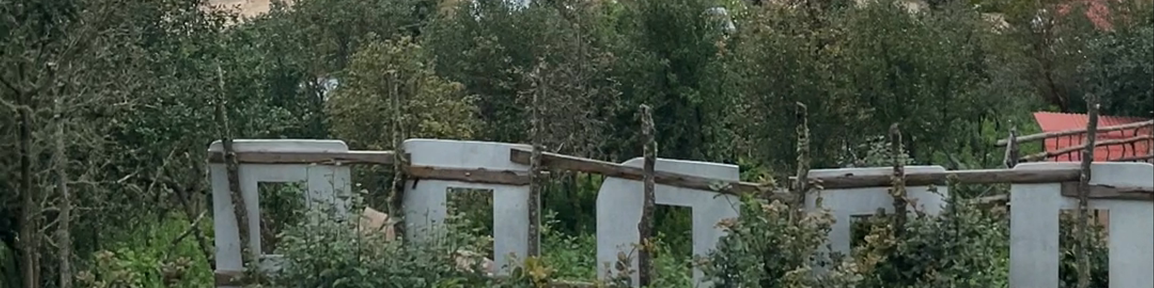 Miahuatlán de Porfirio Díaz