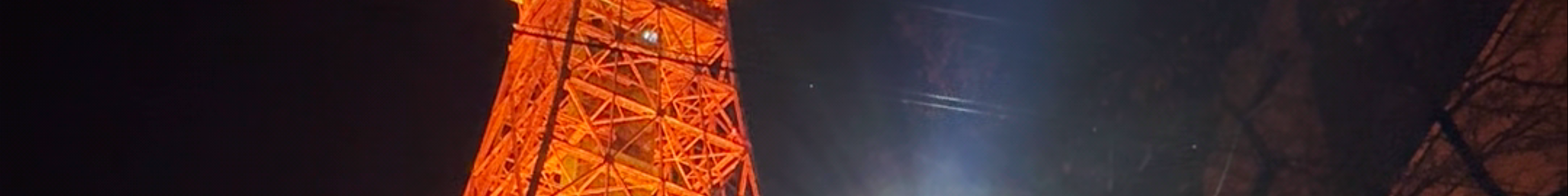 Tours & experiences in Tokyo