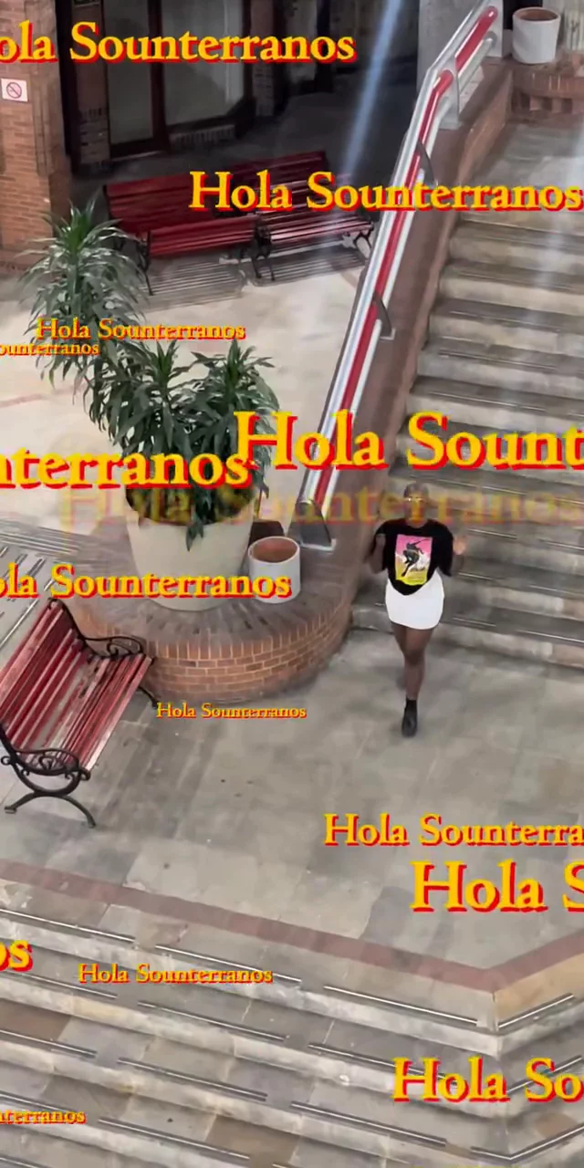 Contenido del creador
