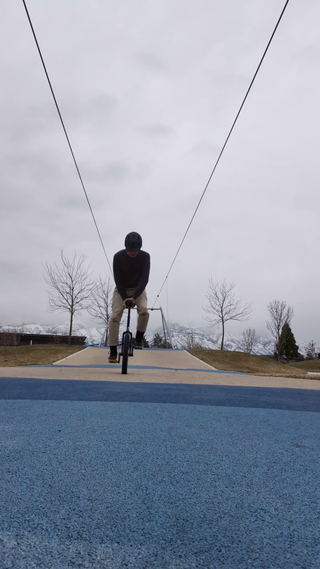 post: First hickflip in 12 years