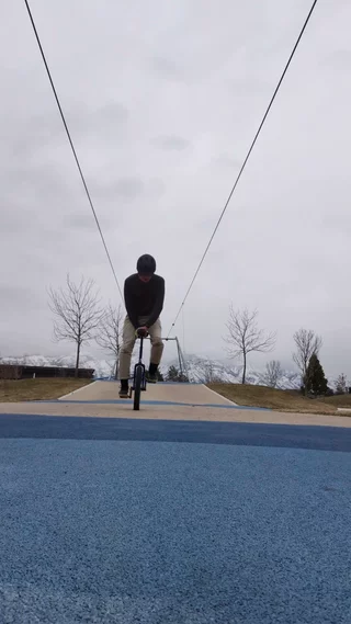 post: First hickflip in 12 years