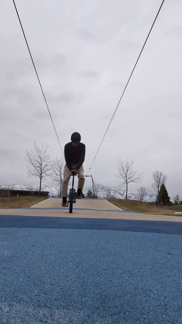 post: First hickflip in 12 years