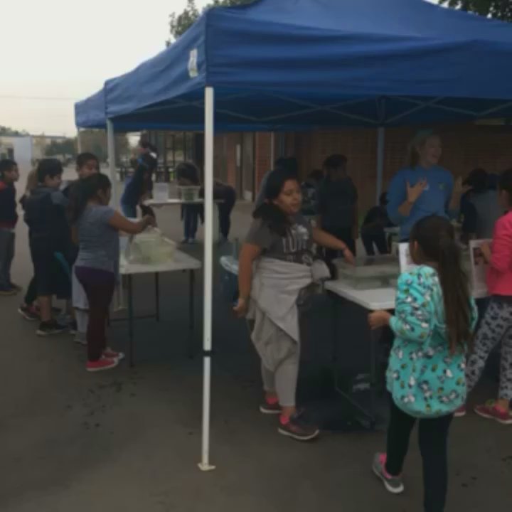 Aeolian Elementary School - 5th Grade got a visit from some sea creatures!! We  hands-on learning! - Elementary Schools Near Me - Whittier, California