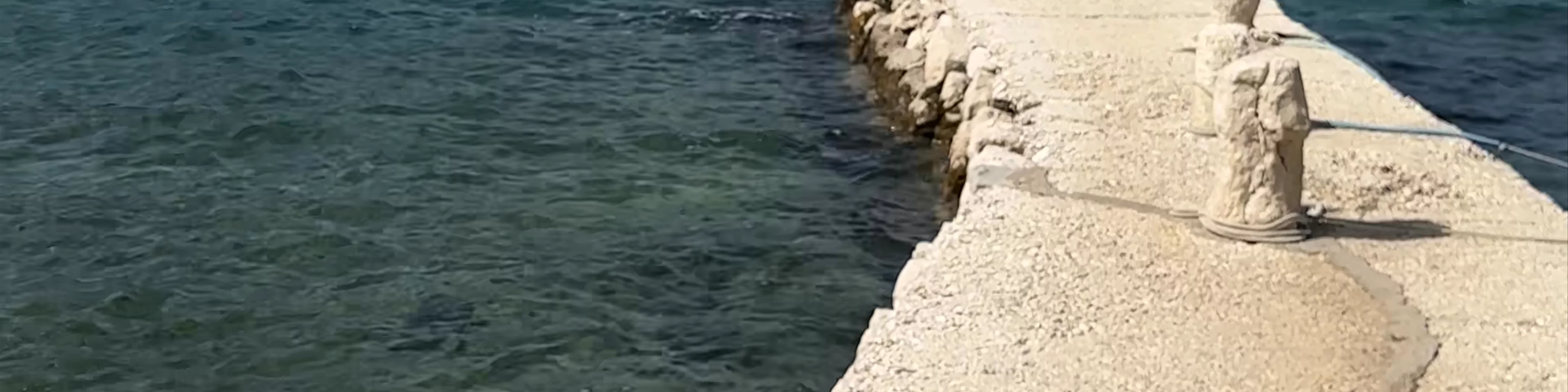 Dobrota Beach