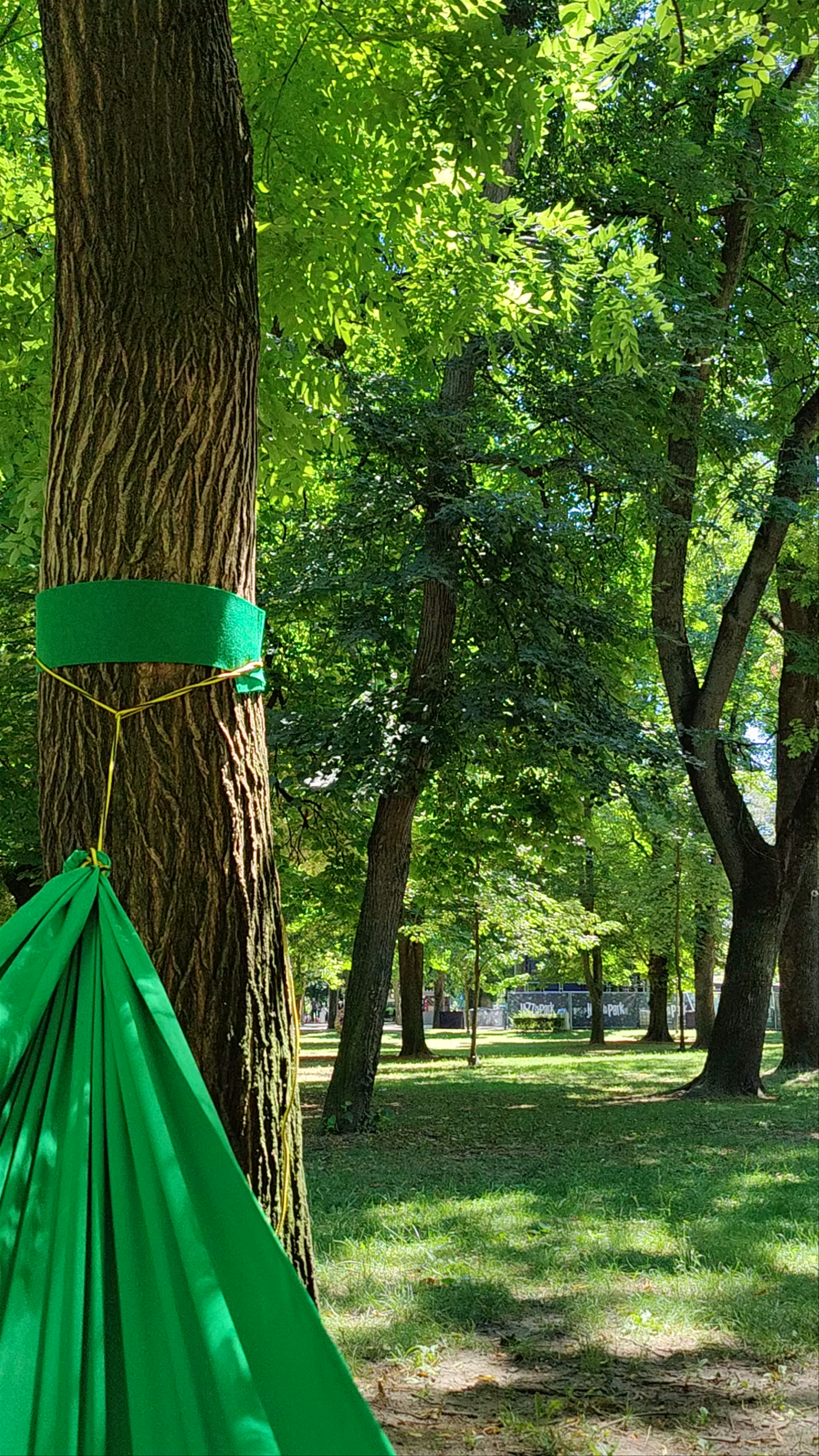 Serene Summer Escape in Parcul Central, Cluj-Napoca