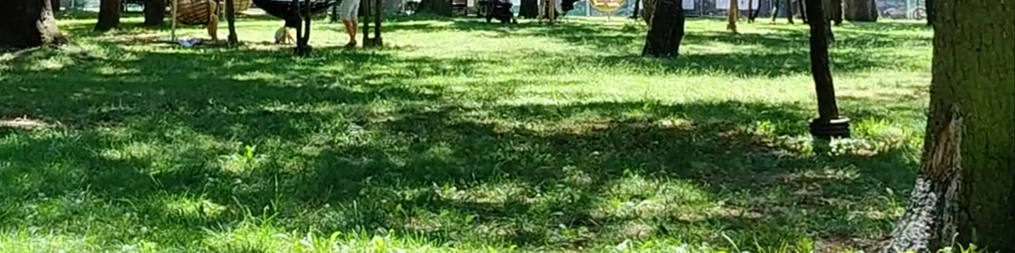 Parcul Central