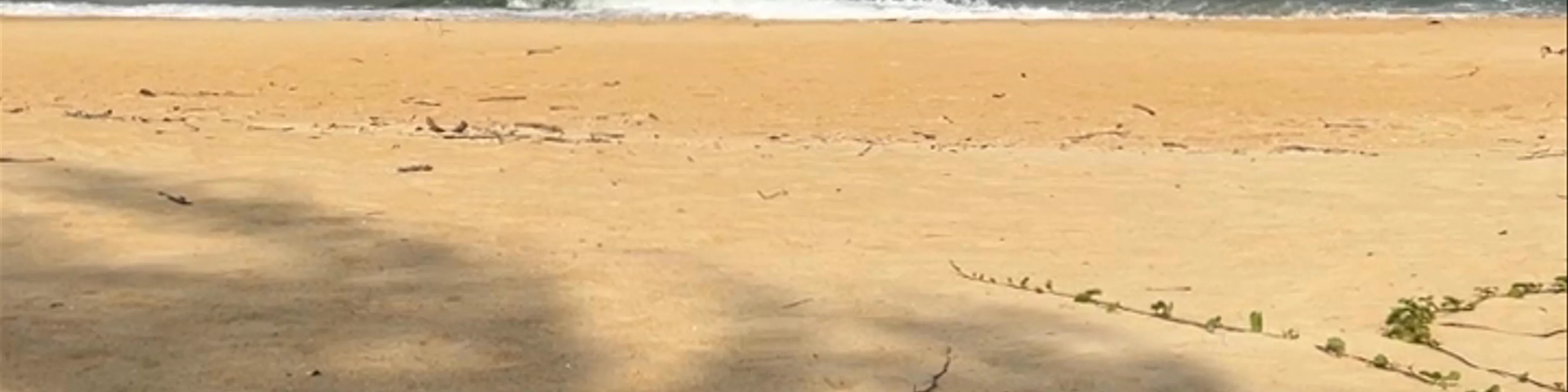 Cherating Beach