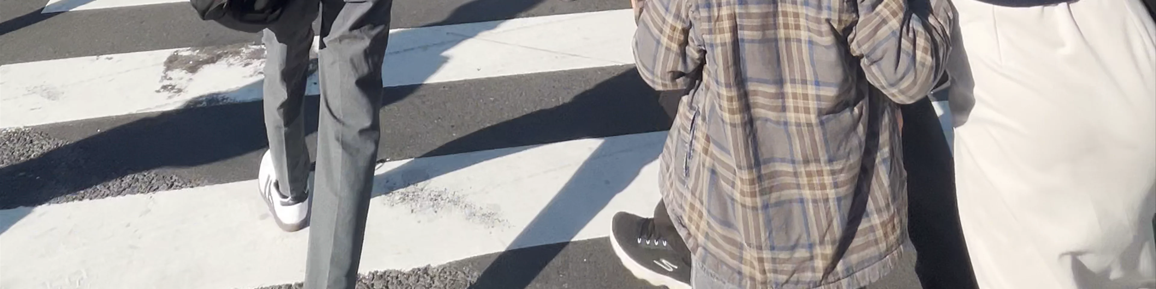 Shibuya Crossing