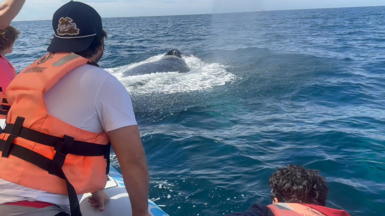 Cabo Expeditions - Awesome experience - Tours Near Me - Cabo San Lucas, BCS