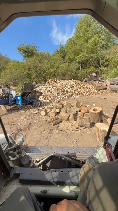 To The Max Tree Service - Tree Services Near Me