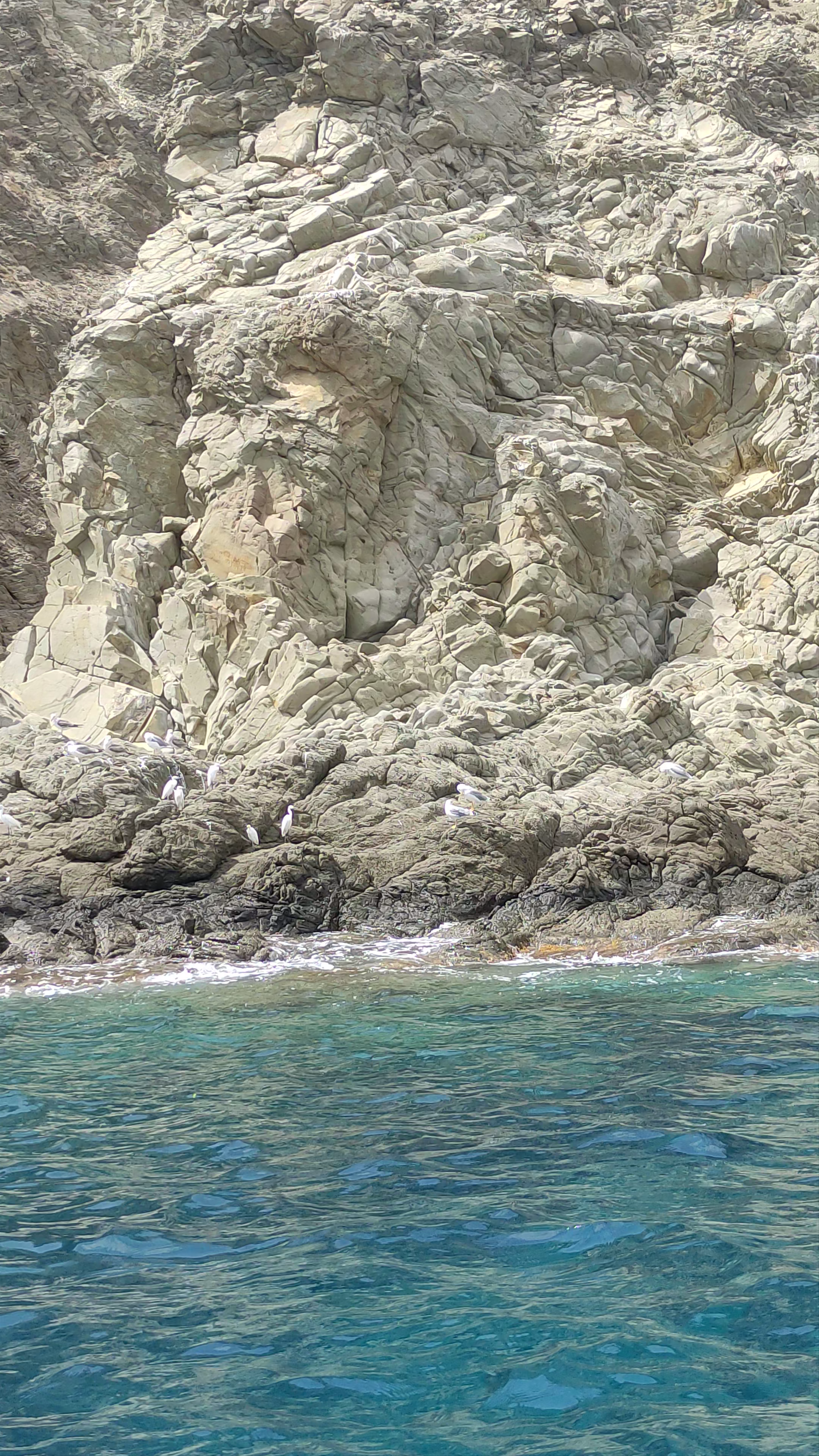 Wild Coastal Vibes at Parque Natural del Cabo de Gata-Níjar, Spain