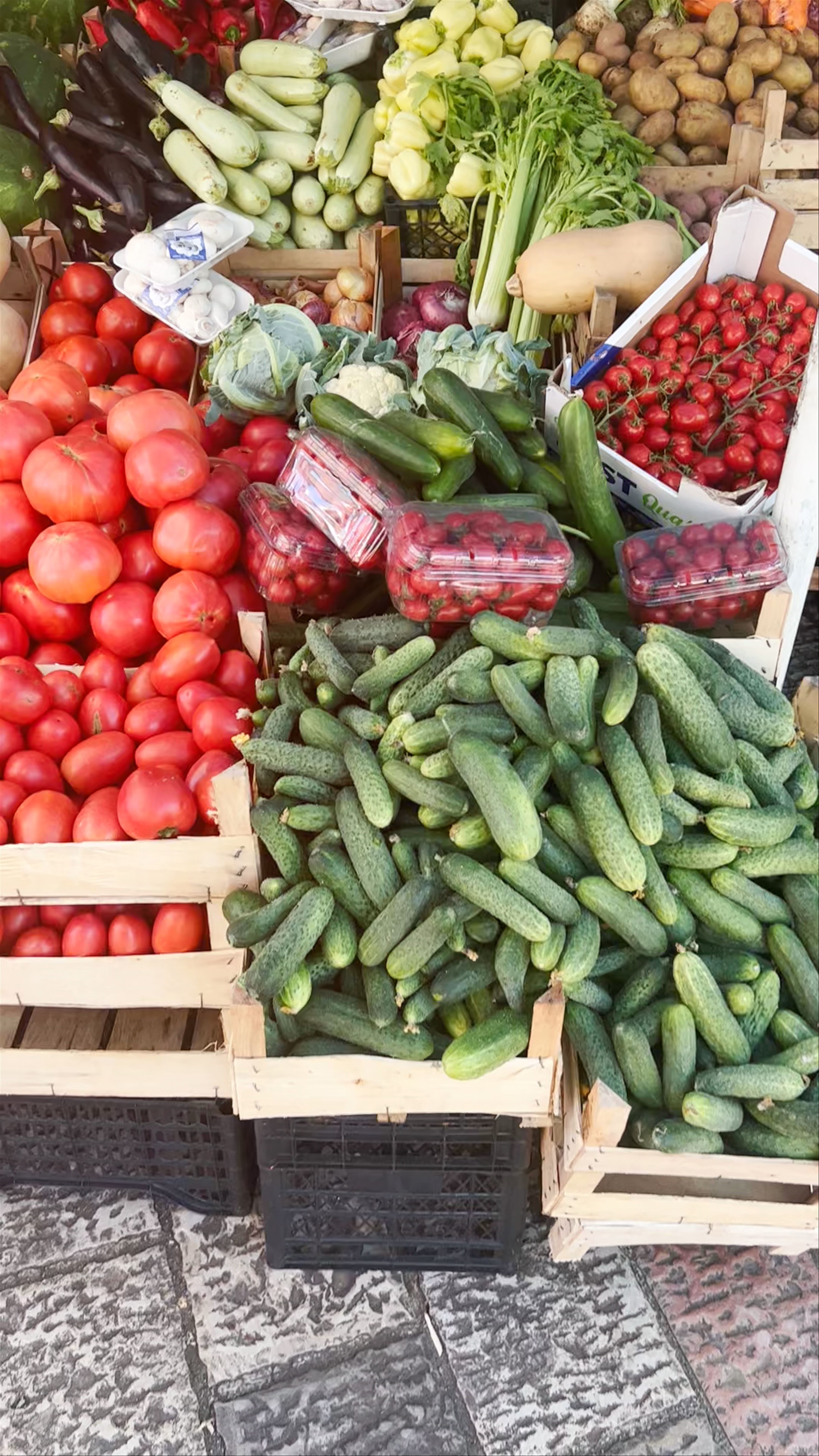 Kotor Food Market: A Fresh Feast in Montenegro’s Historic Harbor Town