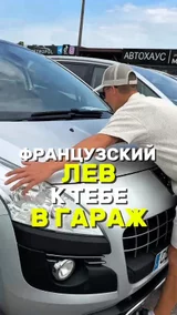 Французский Лев к тебе в гараж