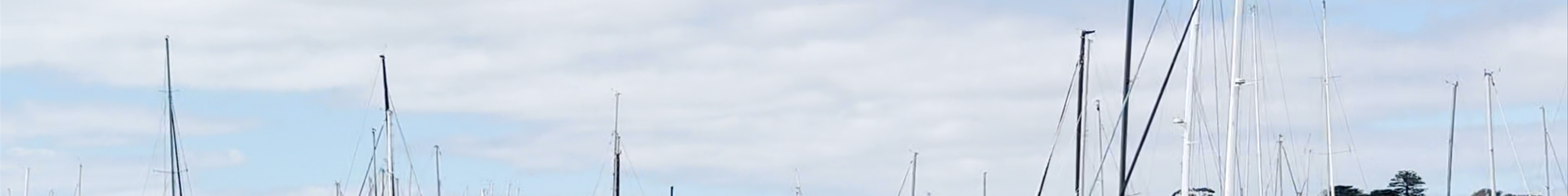 Tours & experiences in Geelong