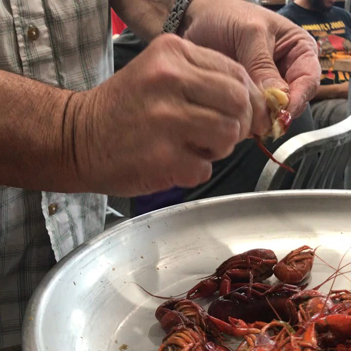 Kenney Seafood - When your driver recommends the spot, eats there too when he drops you off and shows you the way he eats crawfish! - Seafood Markets Near Me - Slidell, Louisiana