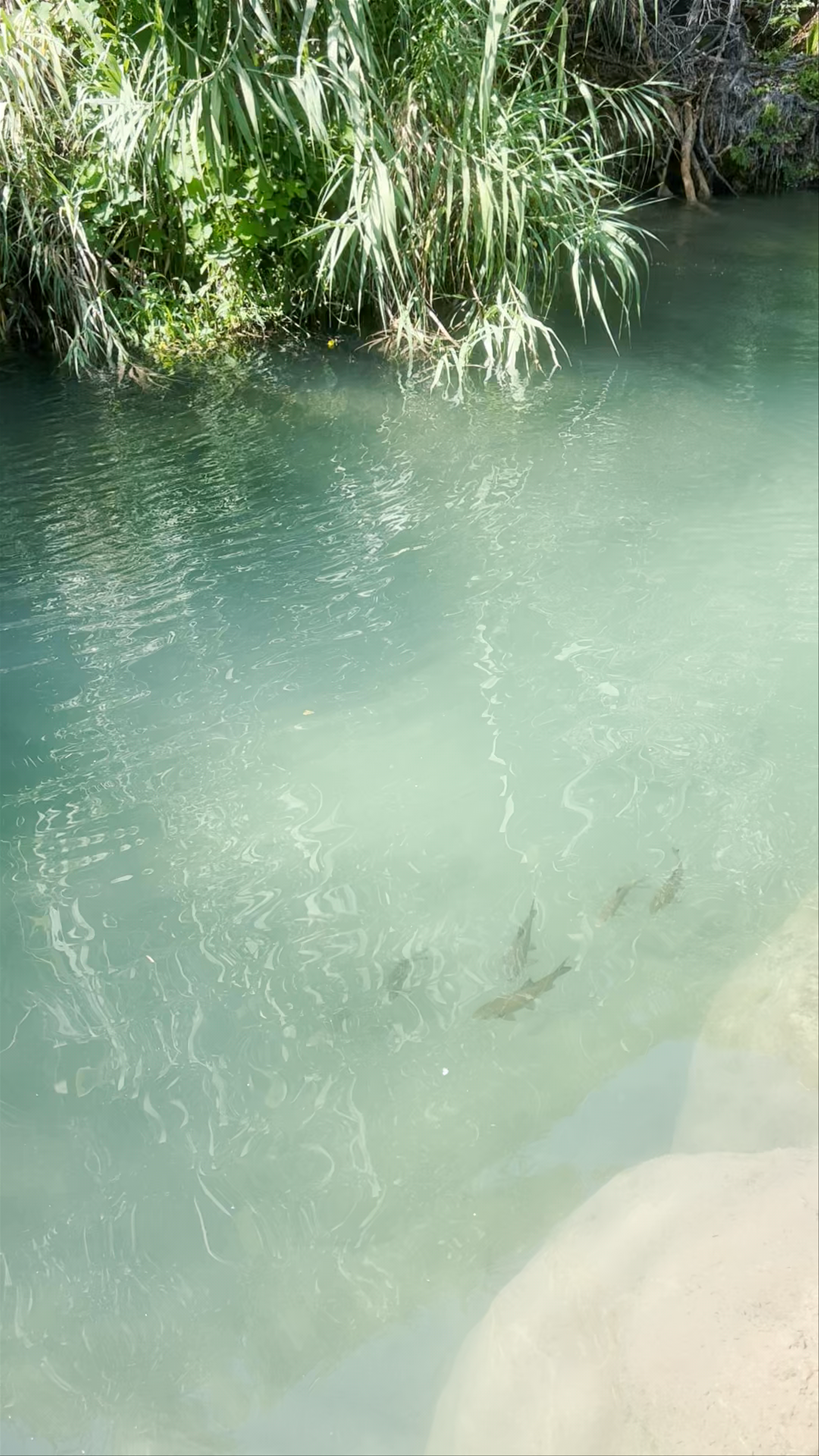 Serene Waters and Lush Greens at Gorgo Gaspar, Anna, Spain