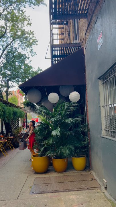 Have & Meyer - Wine Bars Near Me - Brooklyn, New York