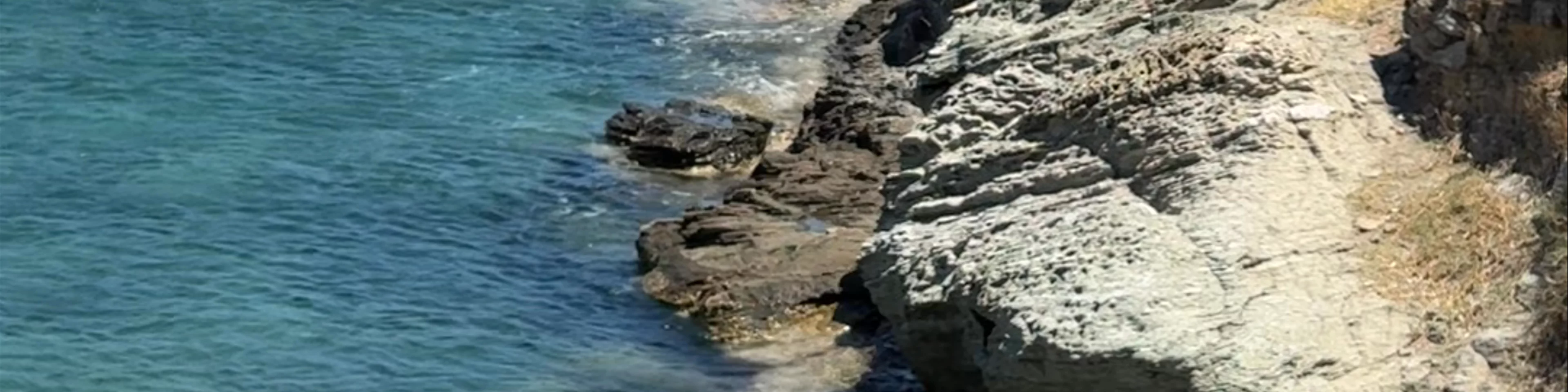 Paralia Antonides