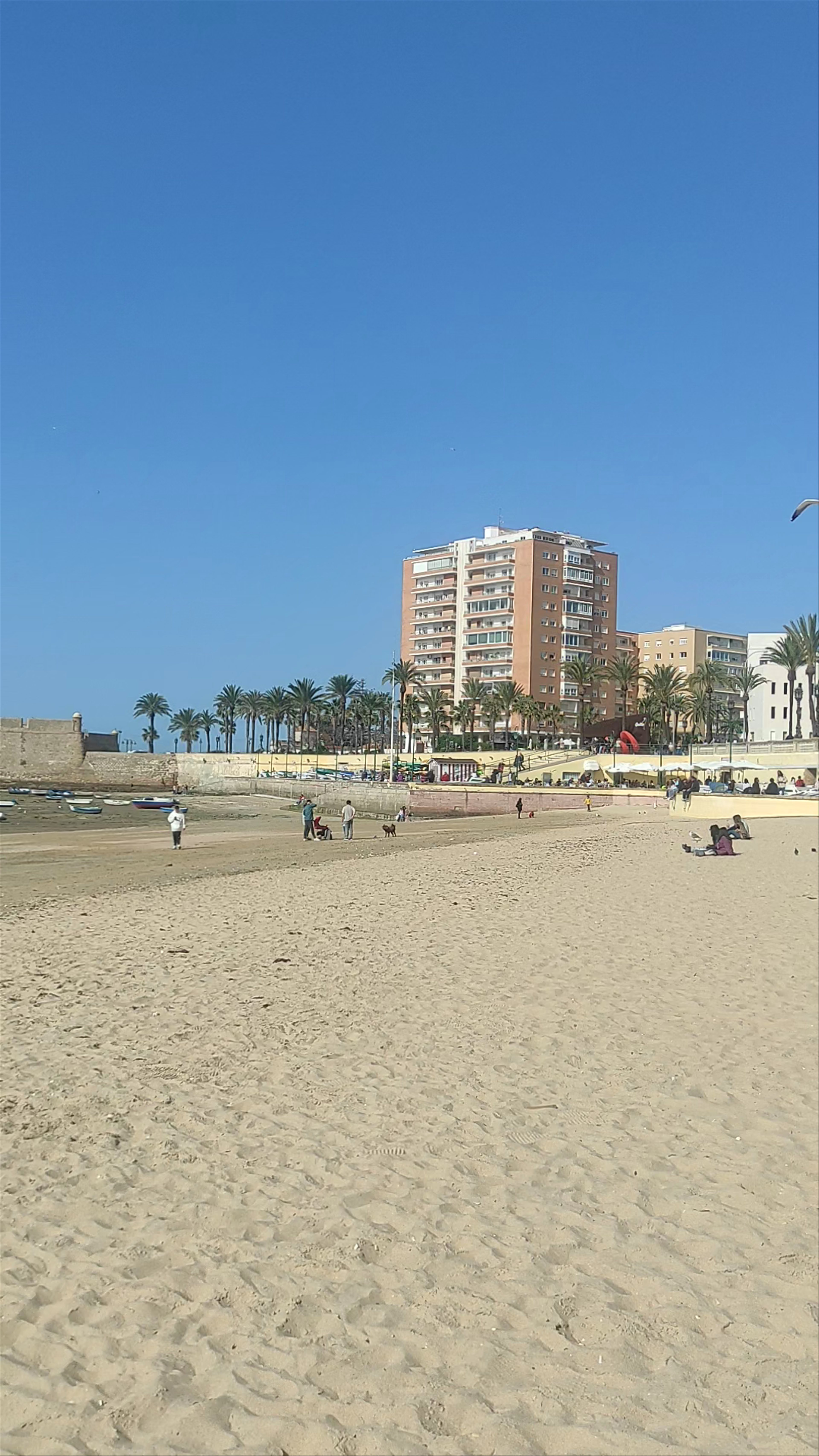 Sunny Beach Day at La Caleta, Canary Islands