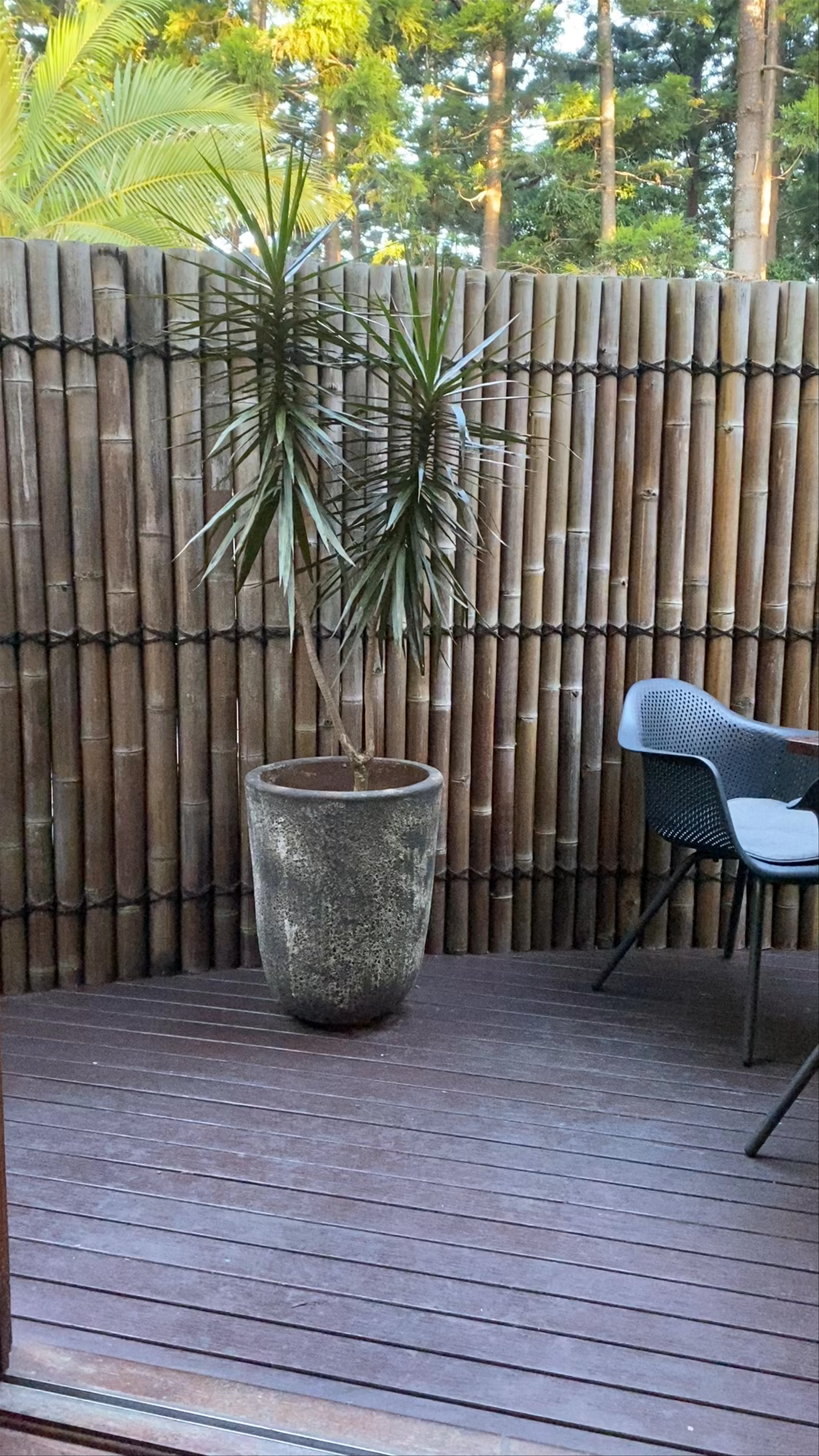 Azabu Retreat & Spa: Serene Nature Escape in Byron Bay