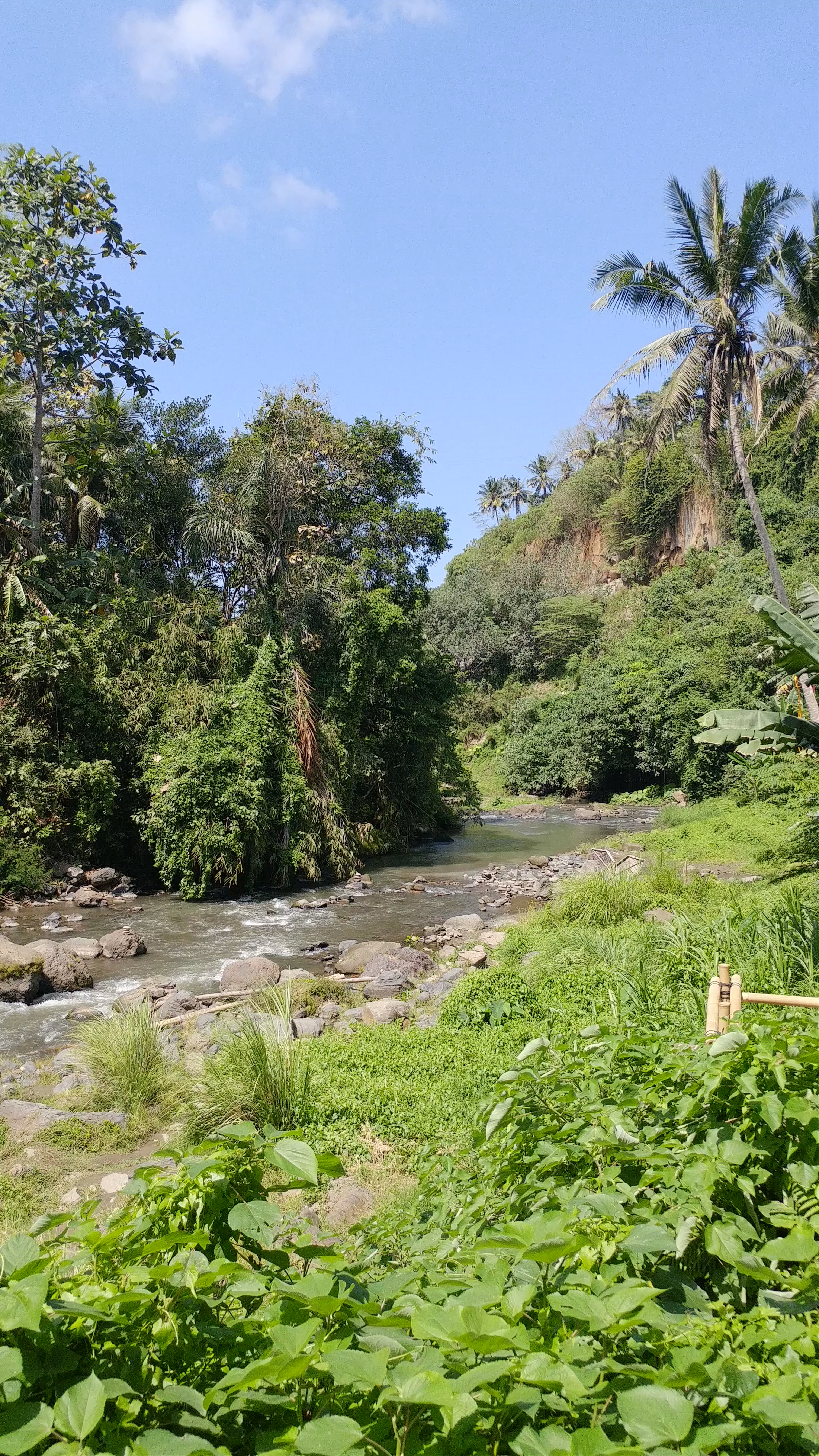 Tegenungan Waterfall: Lush Tropical Escape in Bali