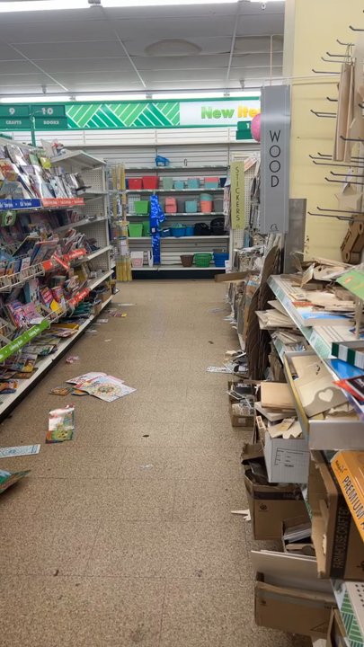 Dollar Tree - Filthiest dollar tree I have ever been to. Smells terrible and is just absolutely filthy. What a shame. - Discount Store Near Me - Mountain View, California