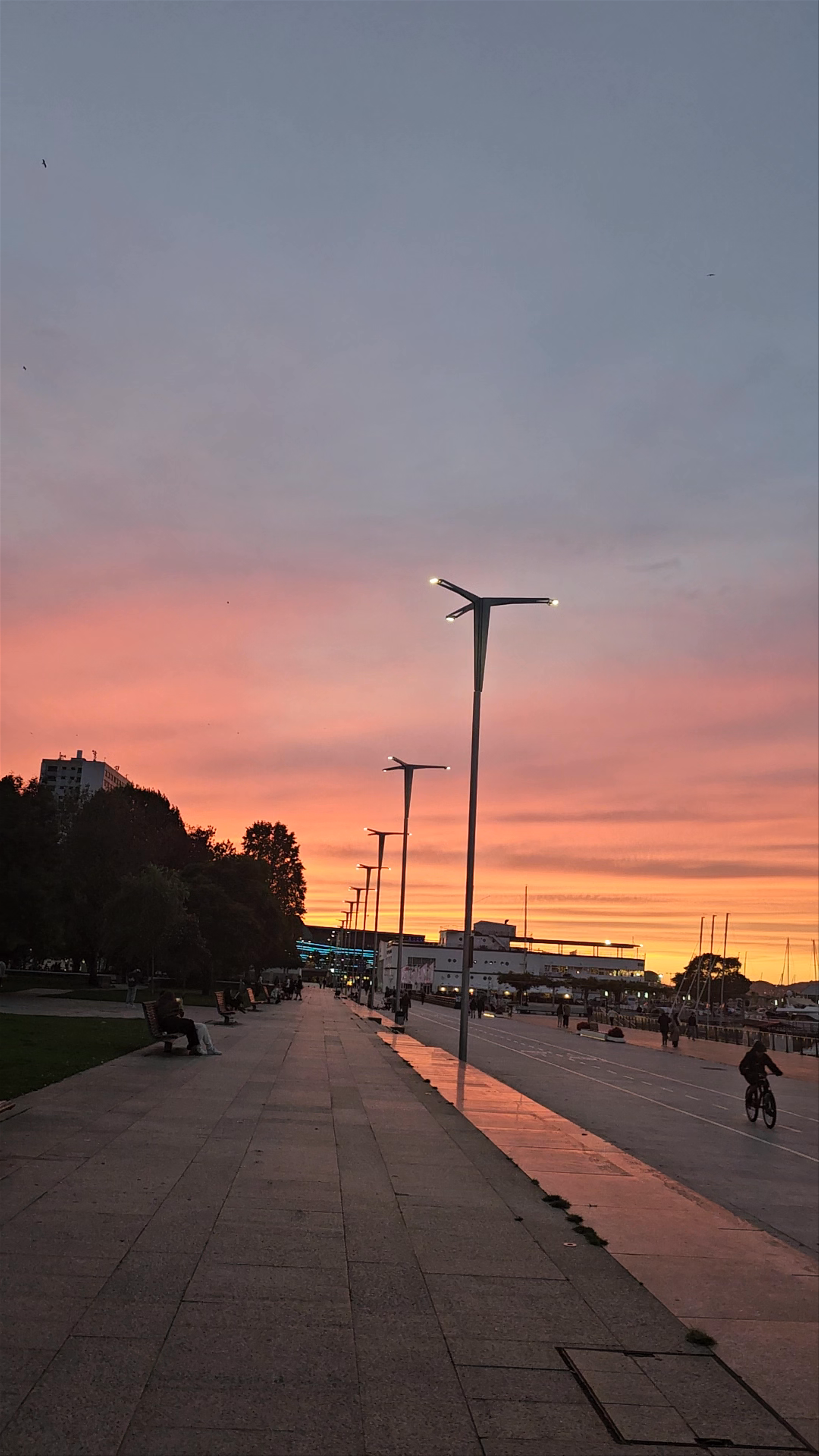 Porto deportivo de Vigo