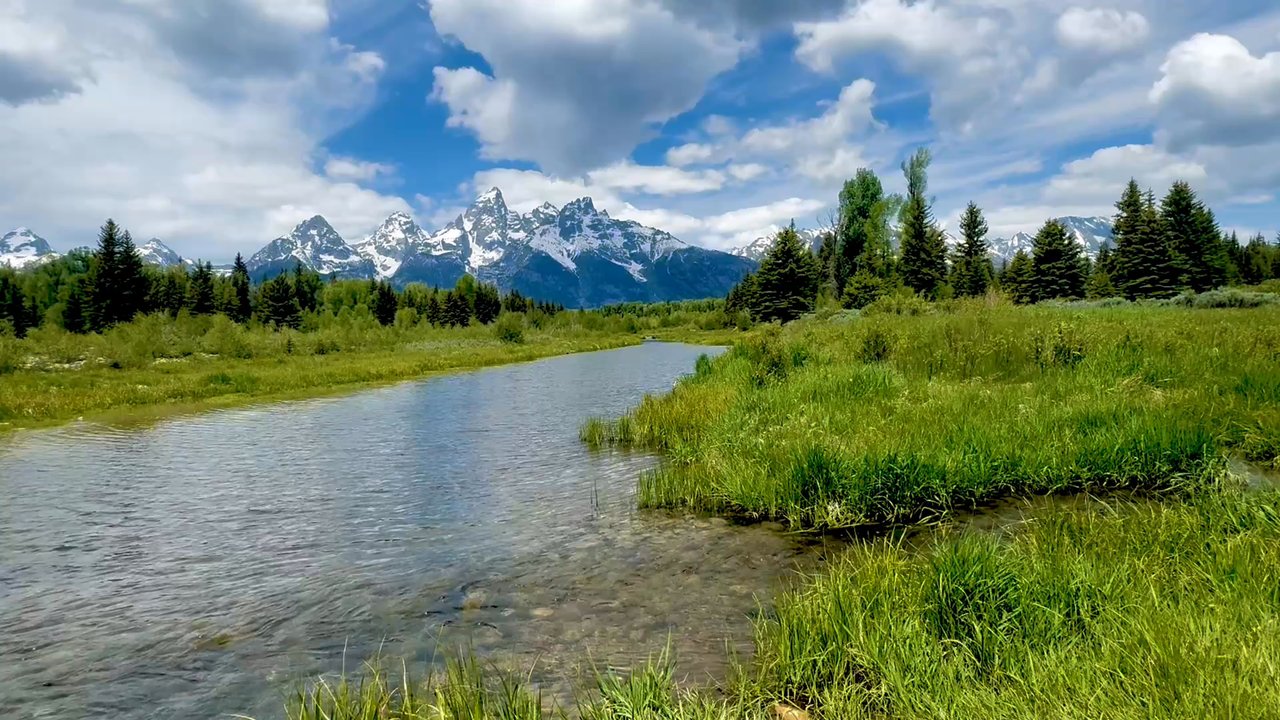 Schwabacher Landing - Parks Near Me - Moose, Wyoming