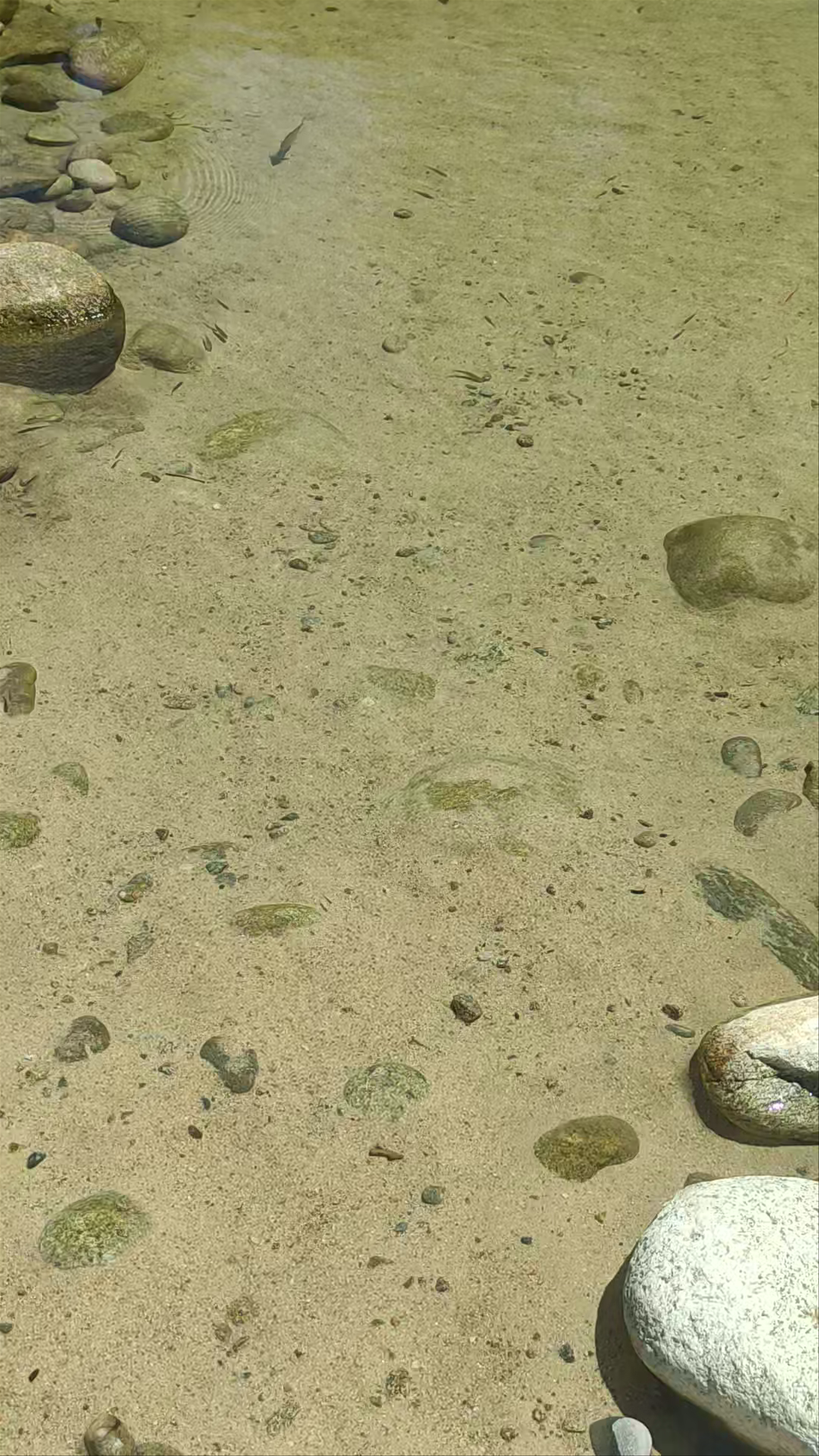 Piscina Fluvial "El Pilar"