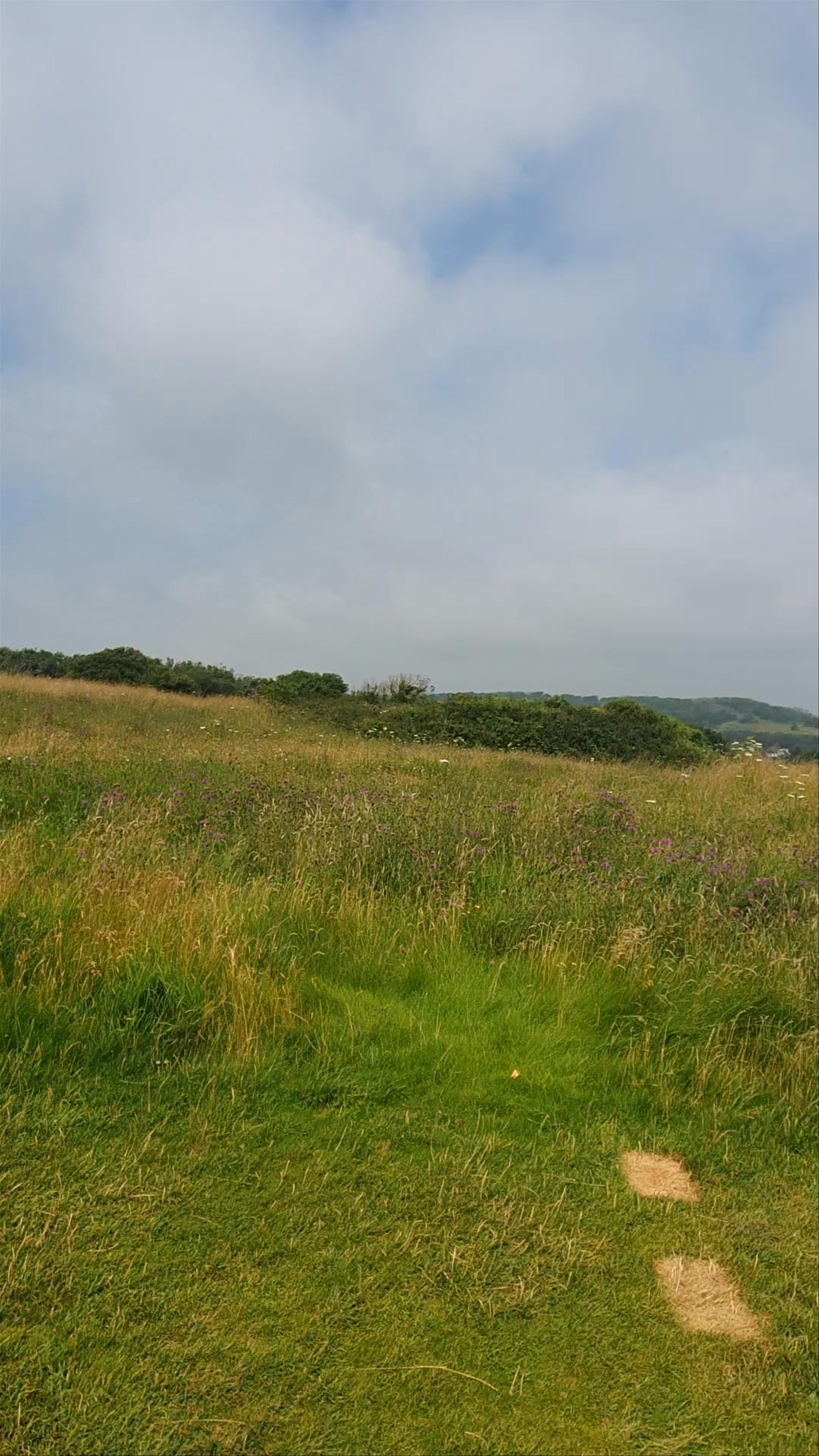 Seven Sisters