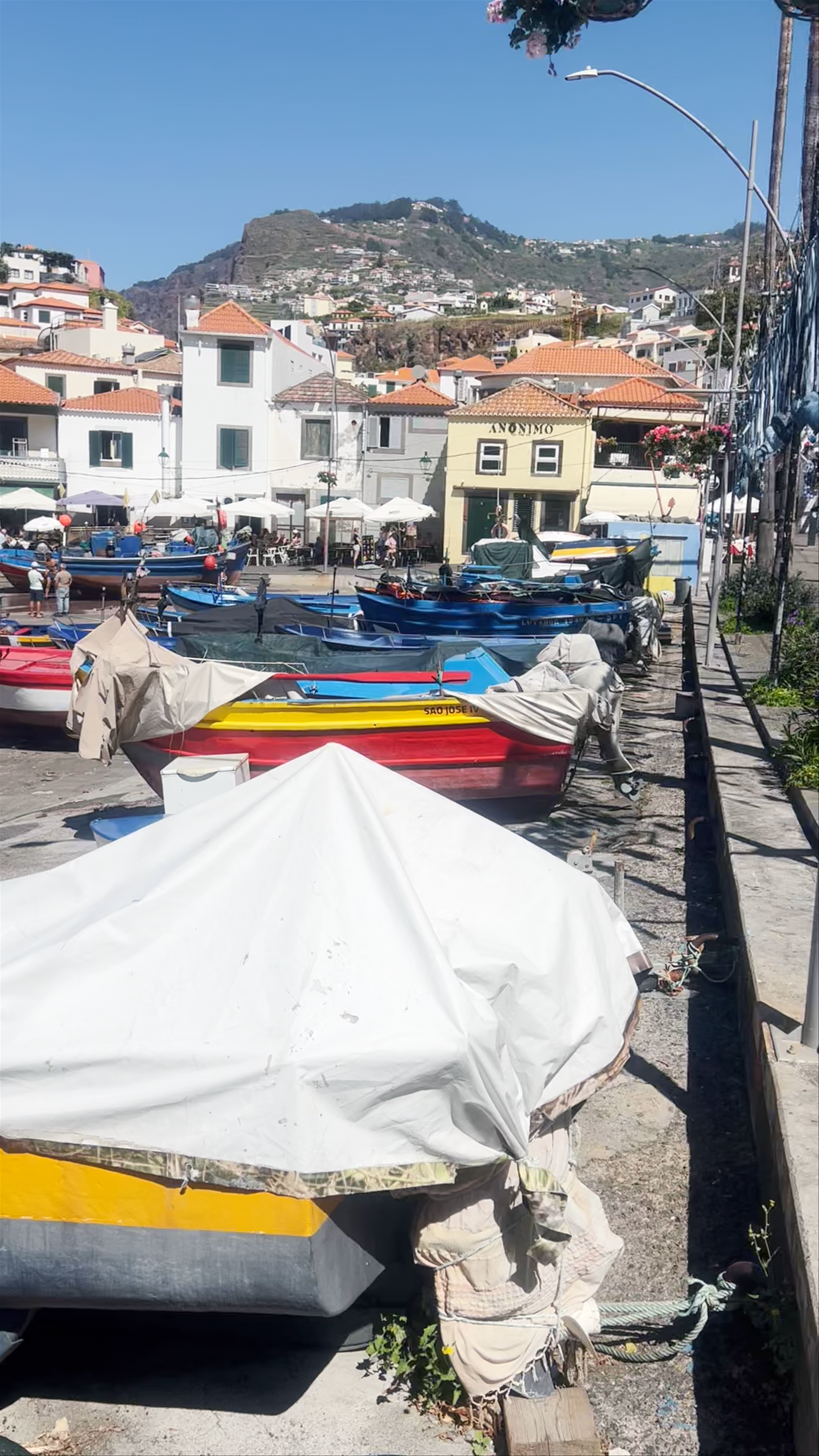 Porto de Câmara de Lobos