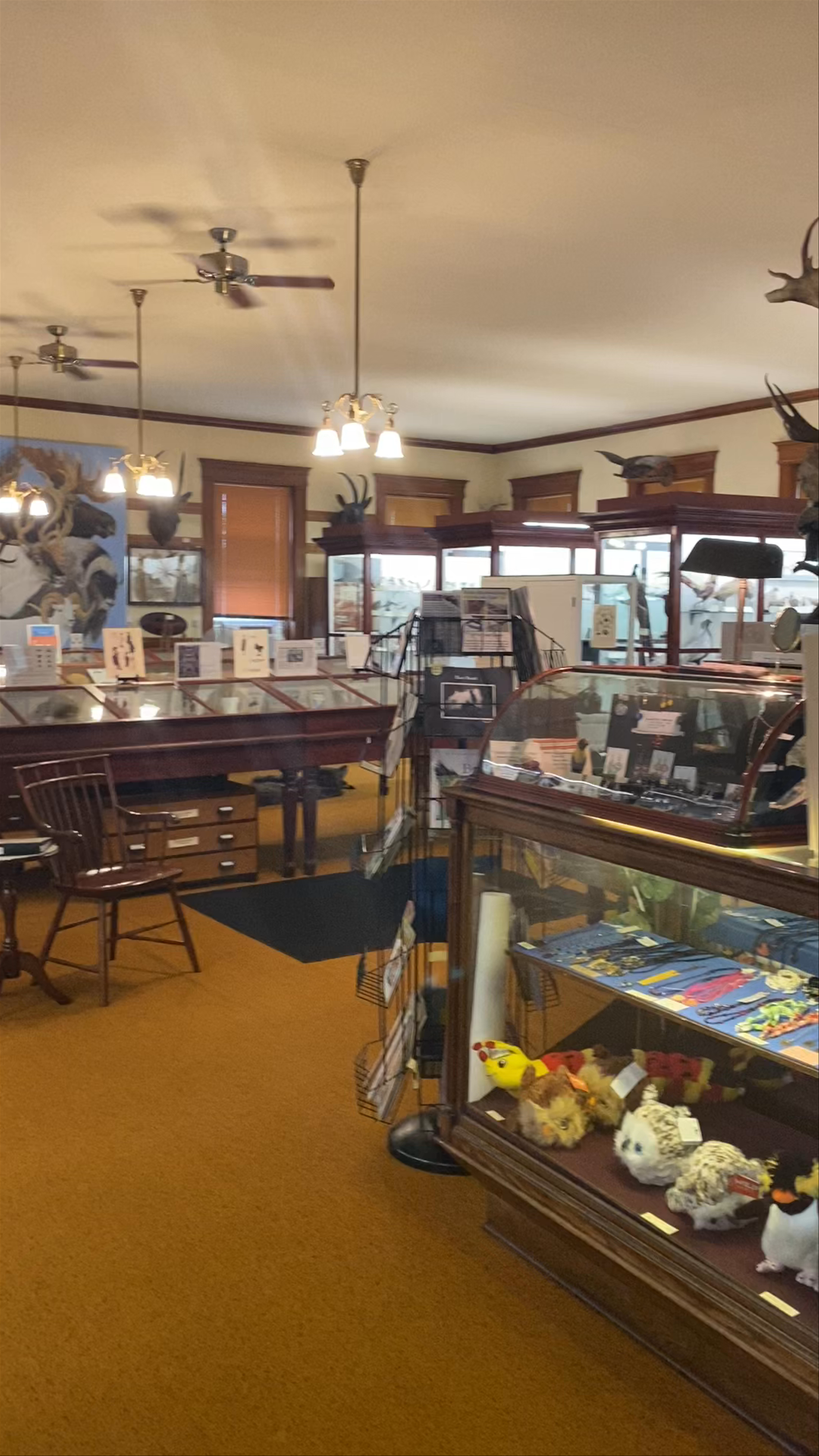 Pember Library and Museum of Natural History