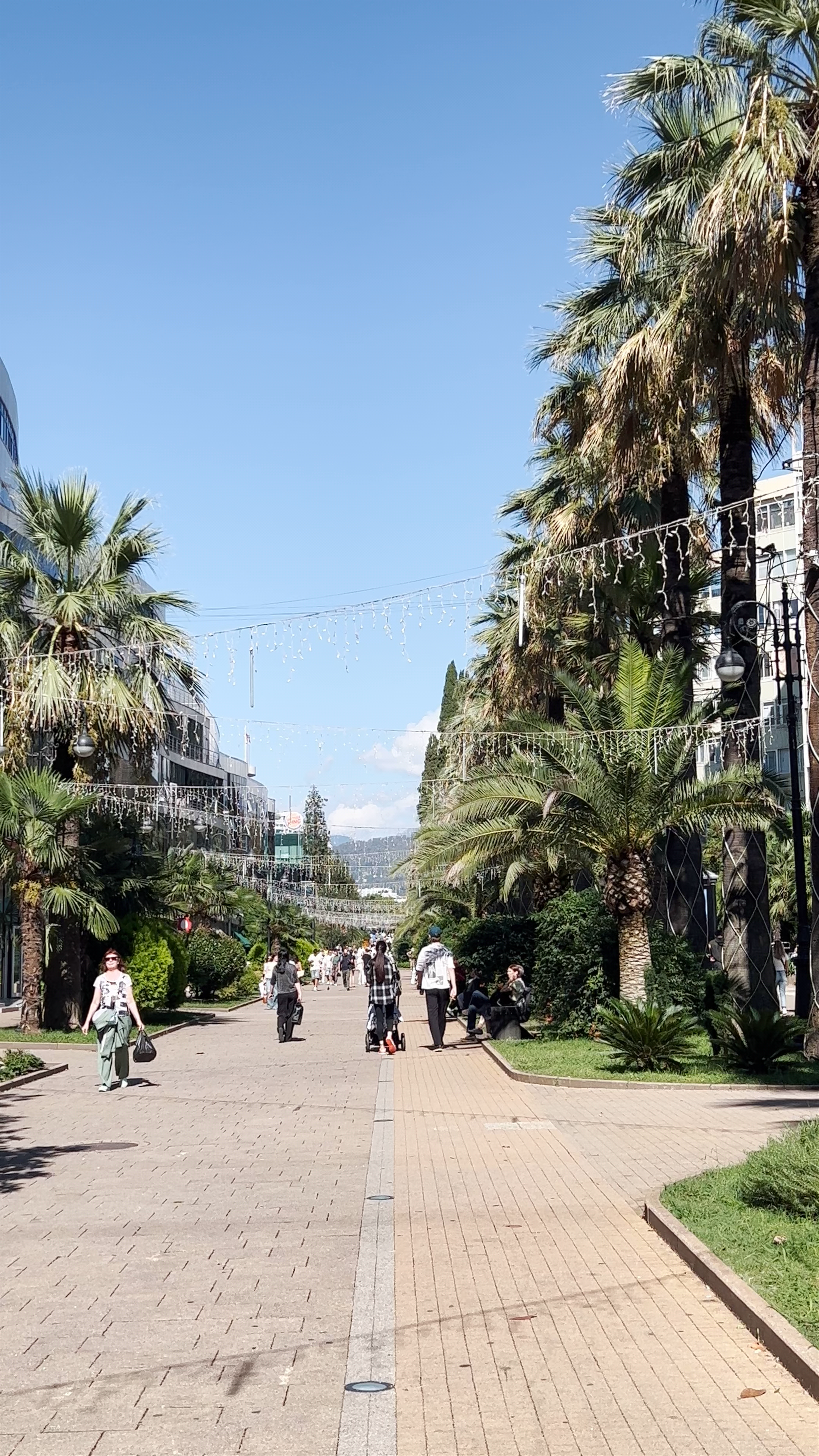 Strolling the Sunny, Palm-Lined Navaginskaya Ulitsa in Sochi