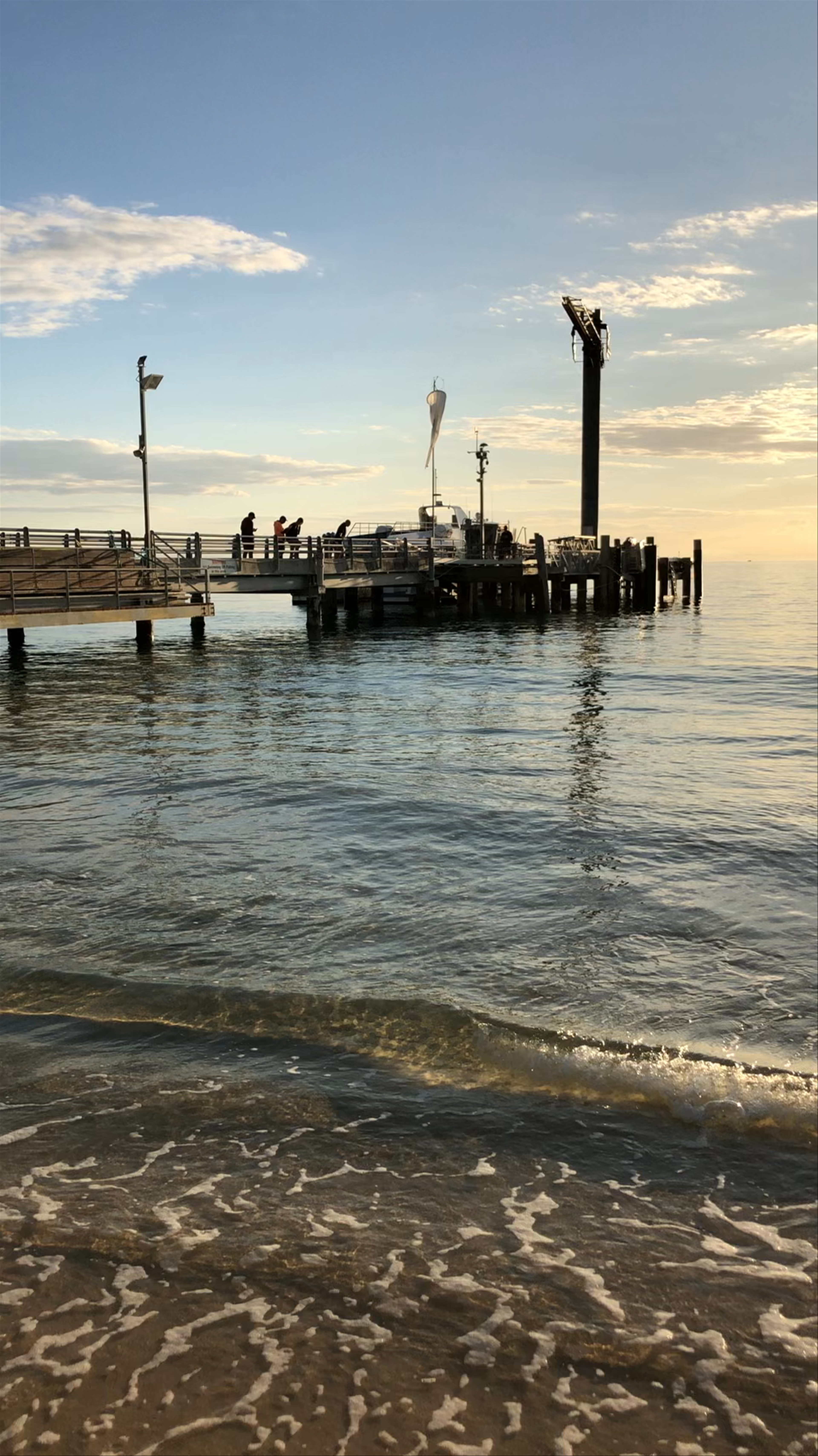 Tangalooma Wild Dolphin Feeding