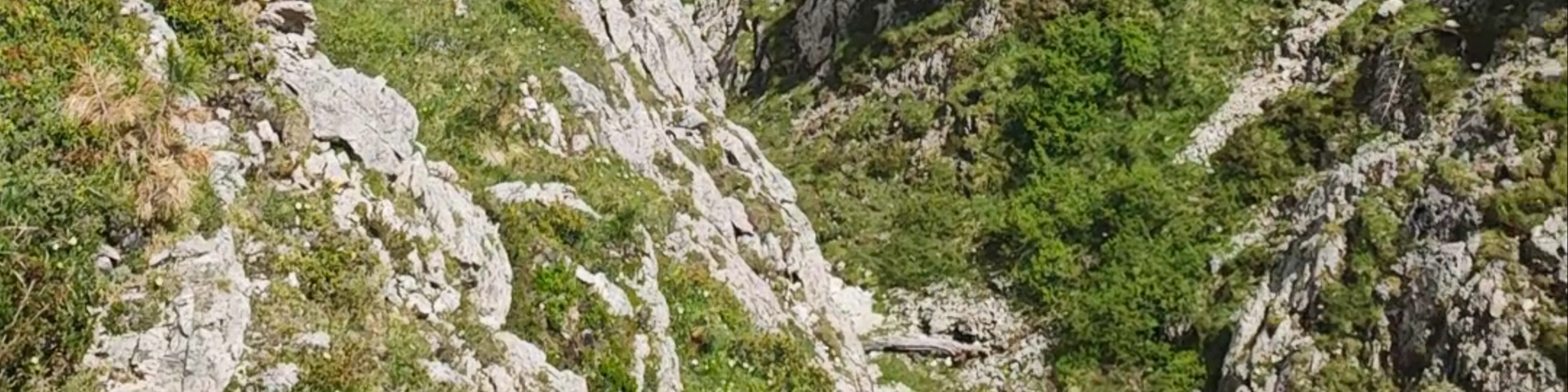 Croda Negra