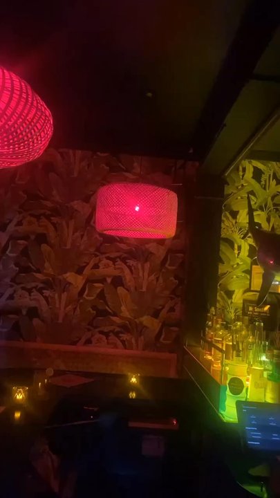 Zig Zag - Cocktail Bars Near Me - Brooklyn, New York