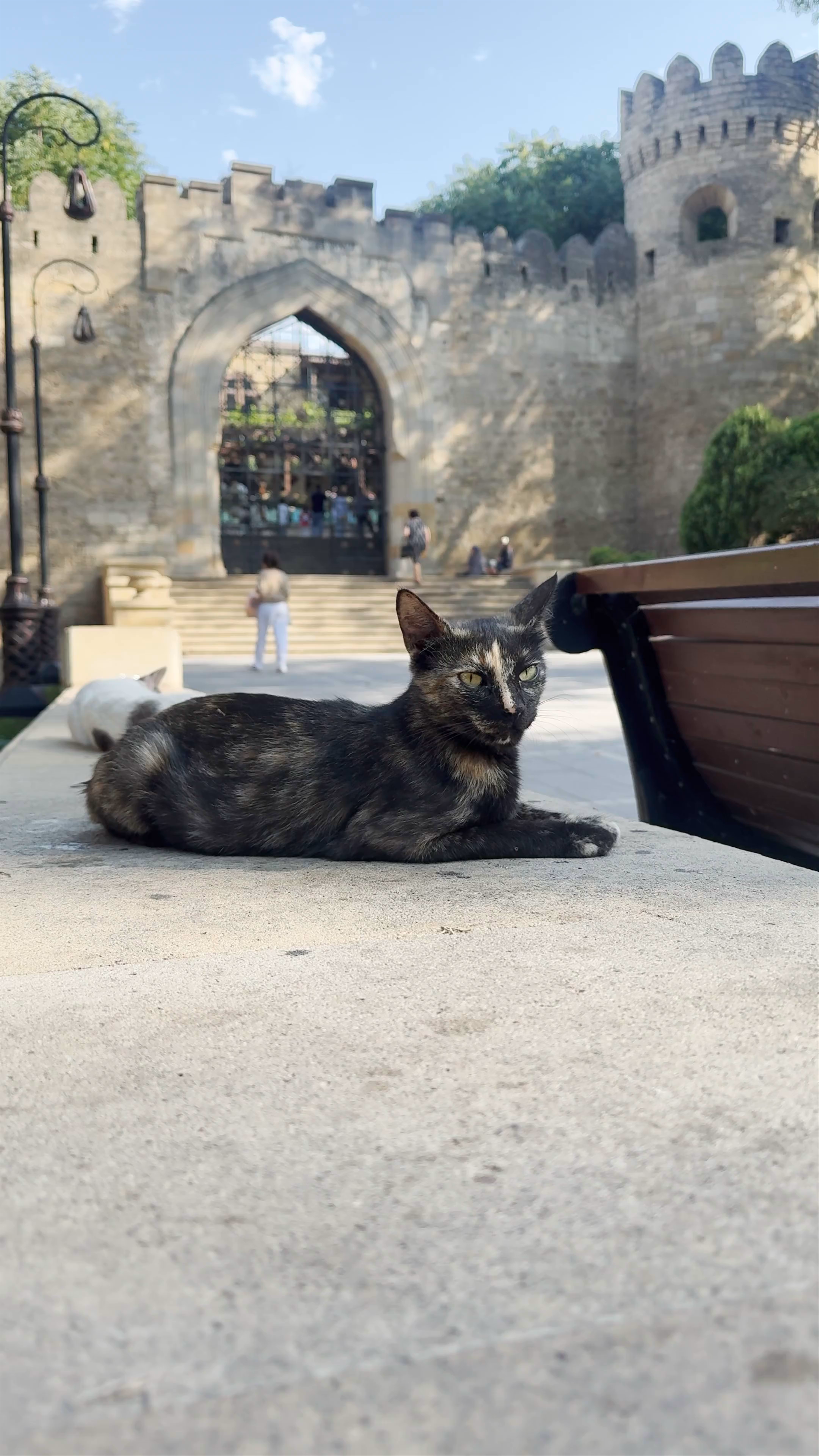 Губернаторская башня