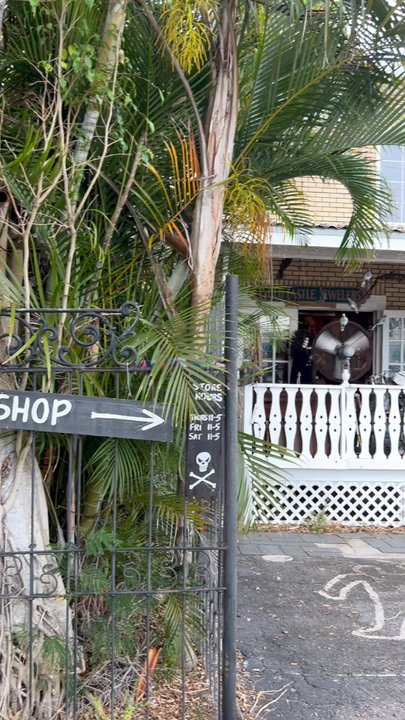 Oddities and Antiques - Antiques Near Me - Clearwater, Florida