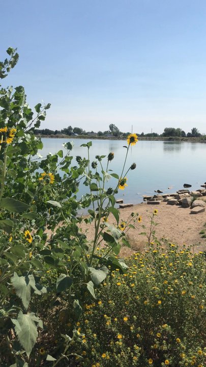 Waneka Lake Park - Peaceful day - Parks Near Me - Lafayette, Colorado