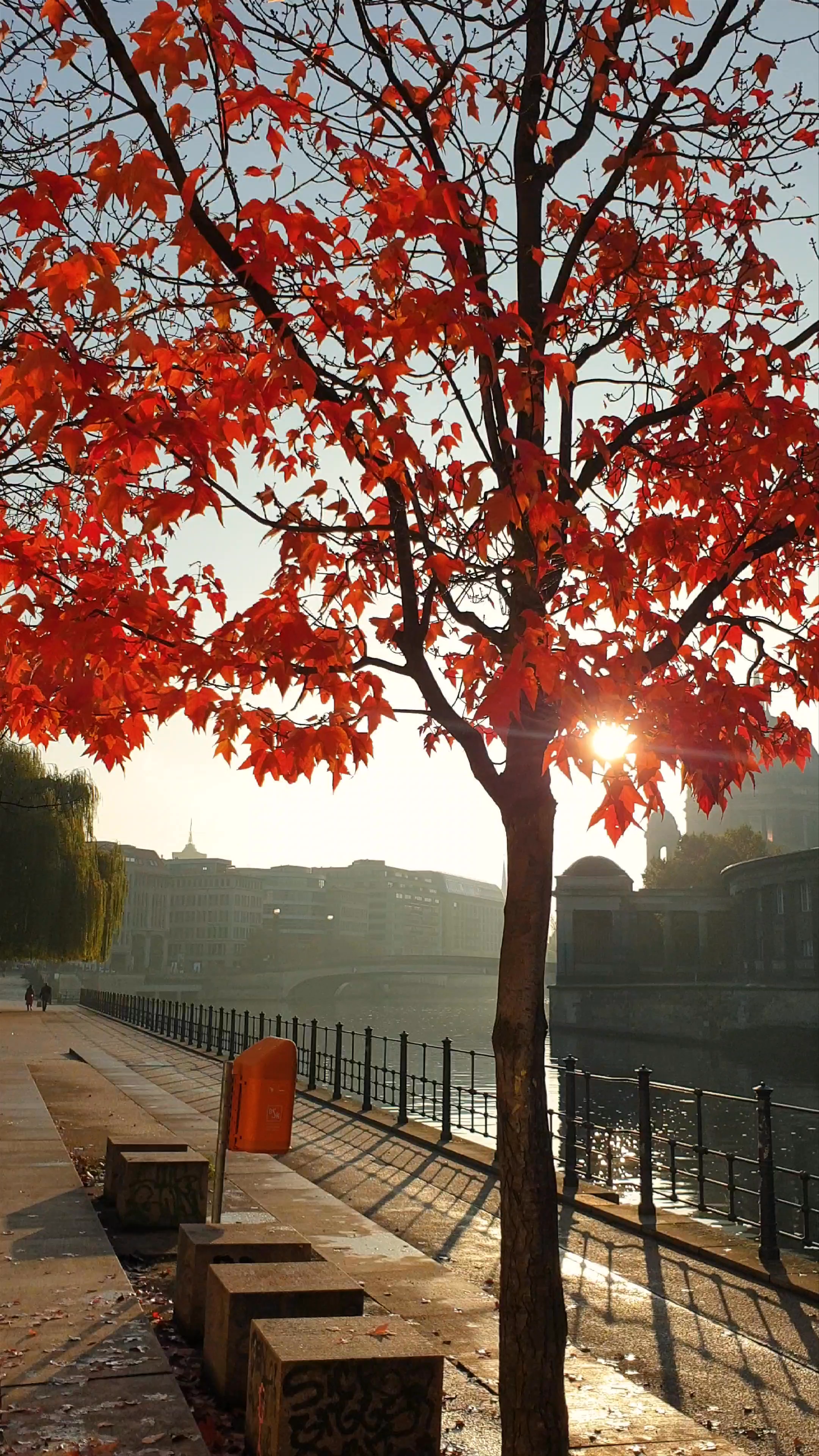 Berlin Cathedral in Autumn Light: A Serene Riverside Stroll