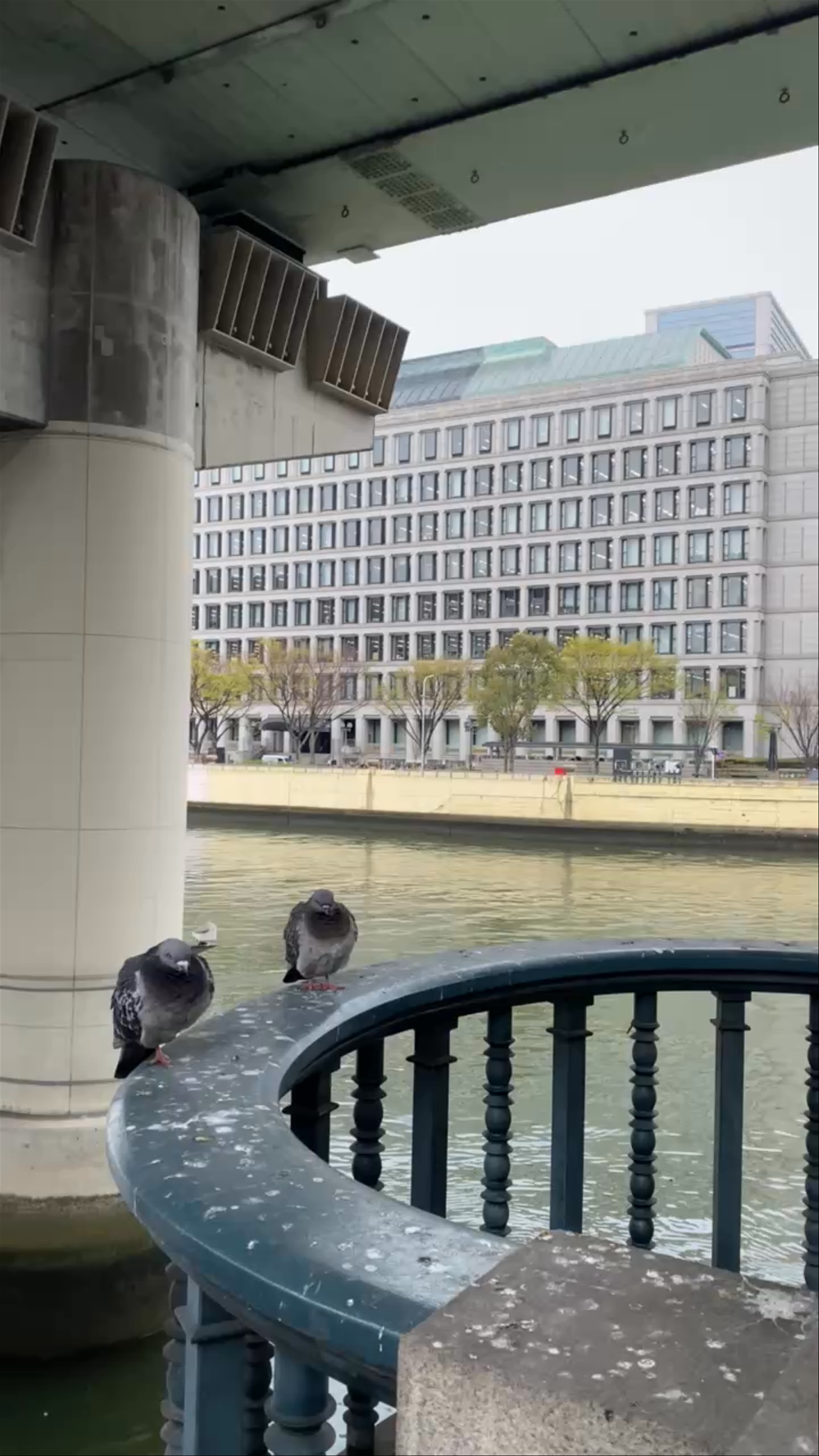Yodo River