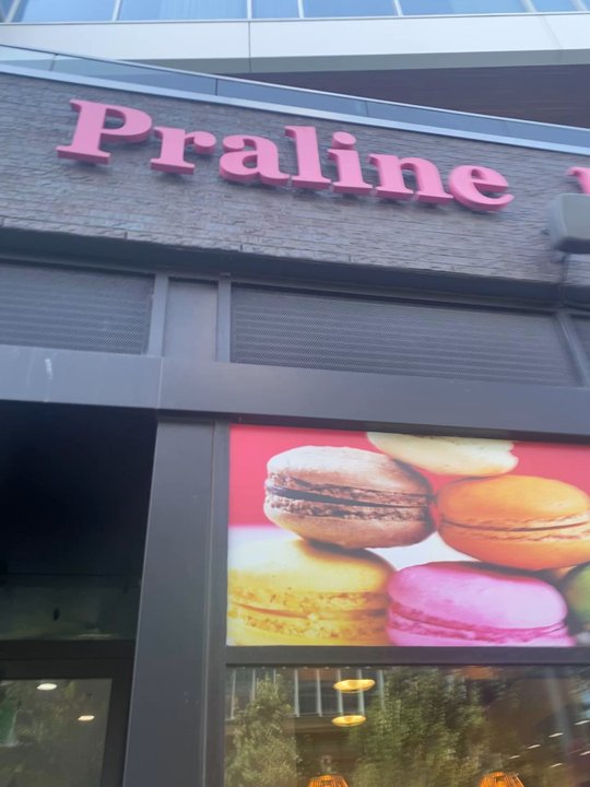 Praline Bakery - Bakeries Near Me - Washington, DC, District of Columbia