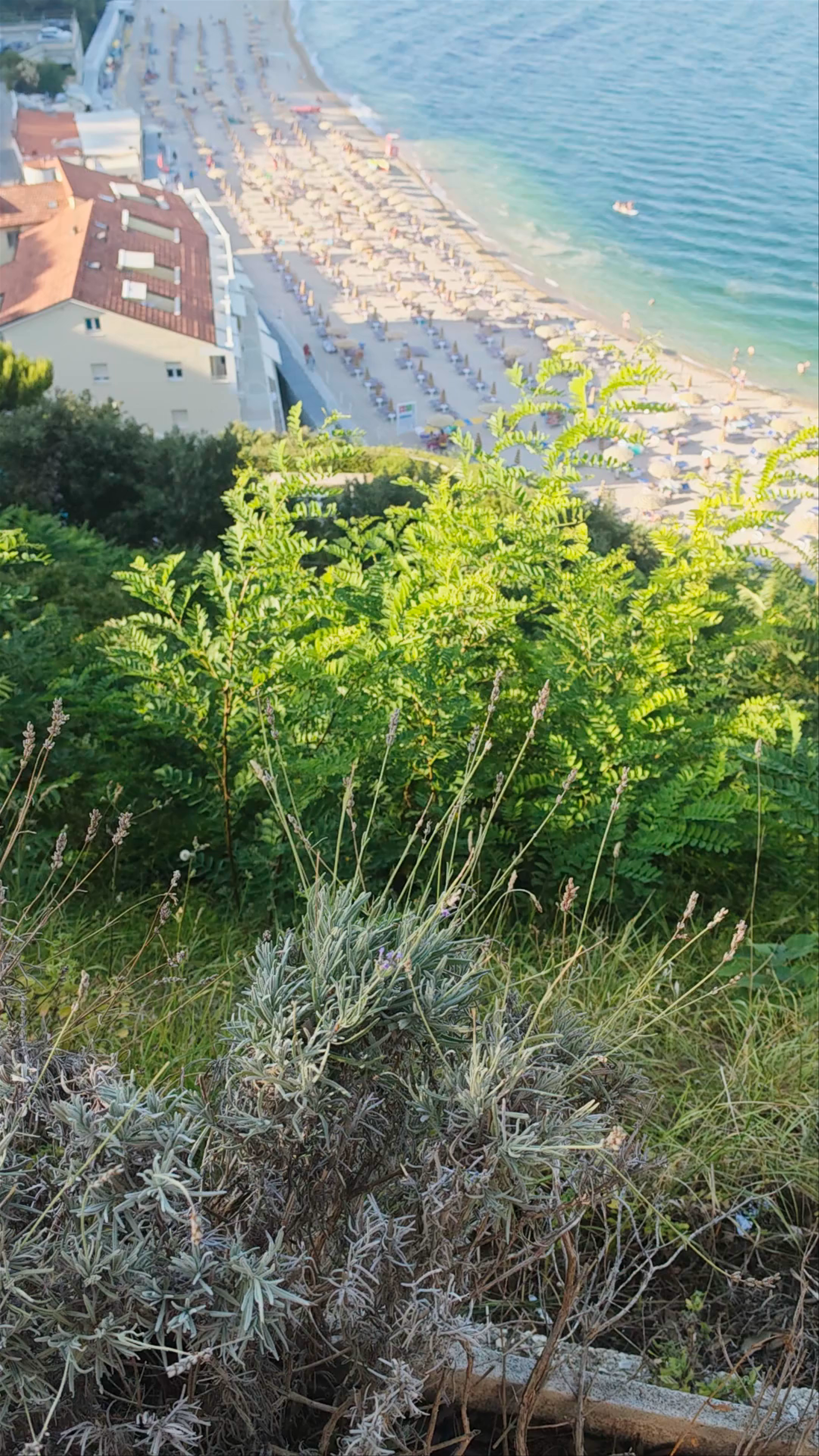 Belvedere La Torre