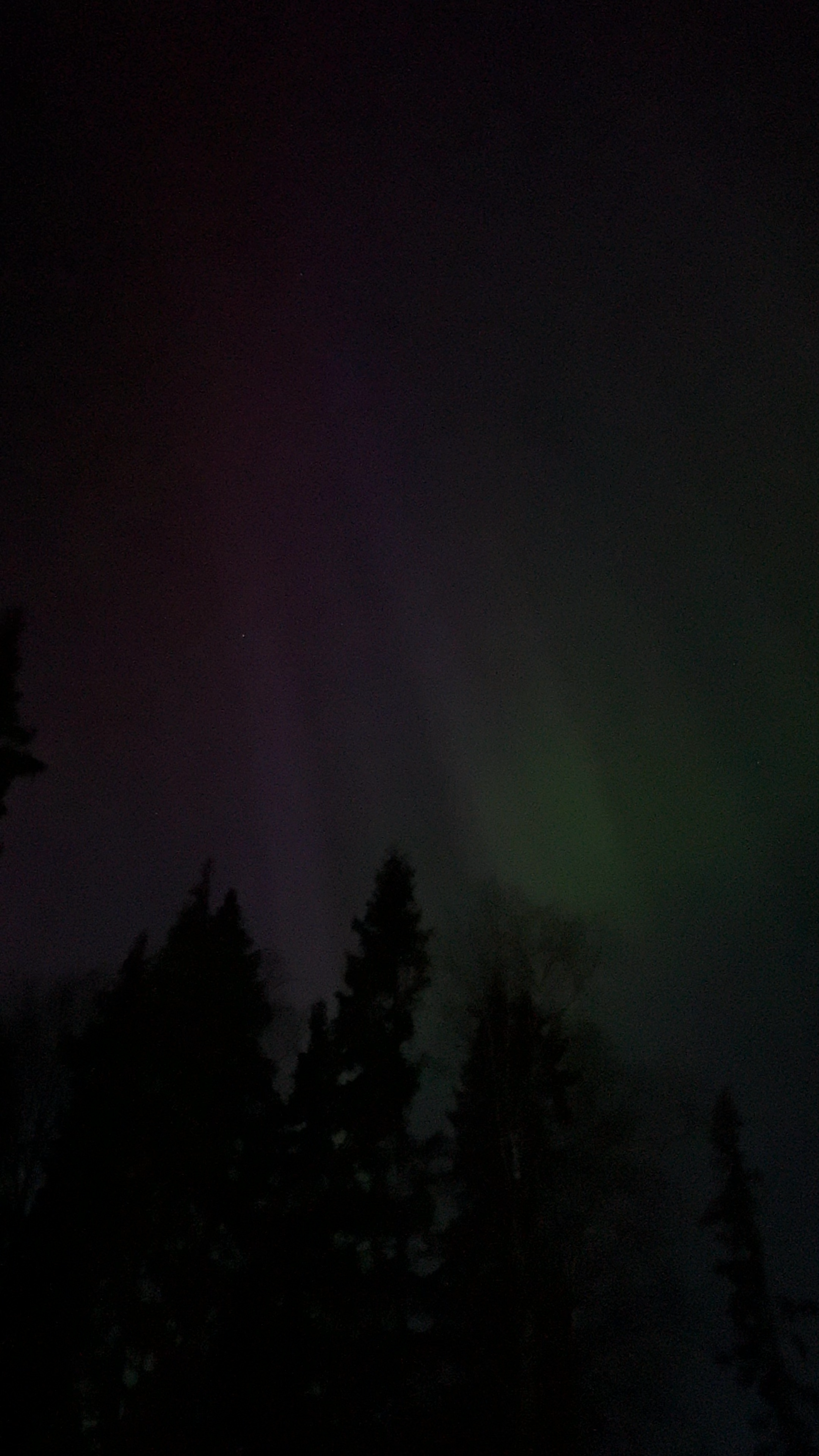 Northern lights