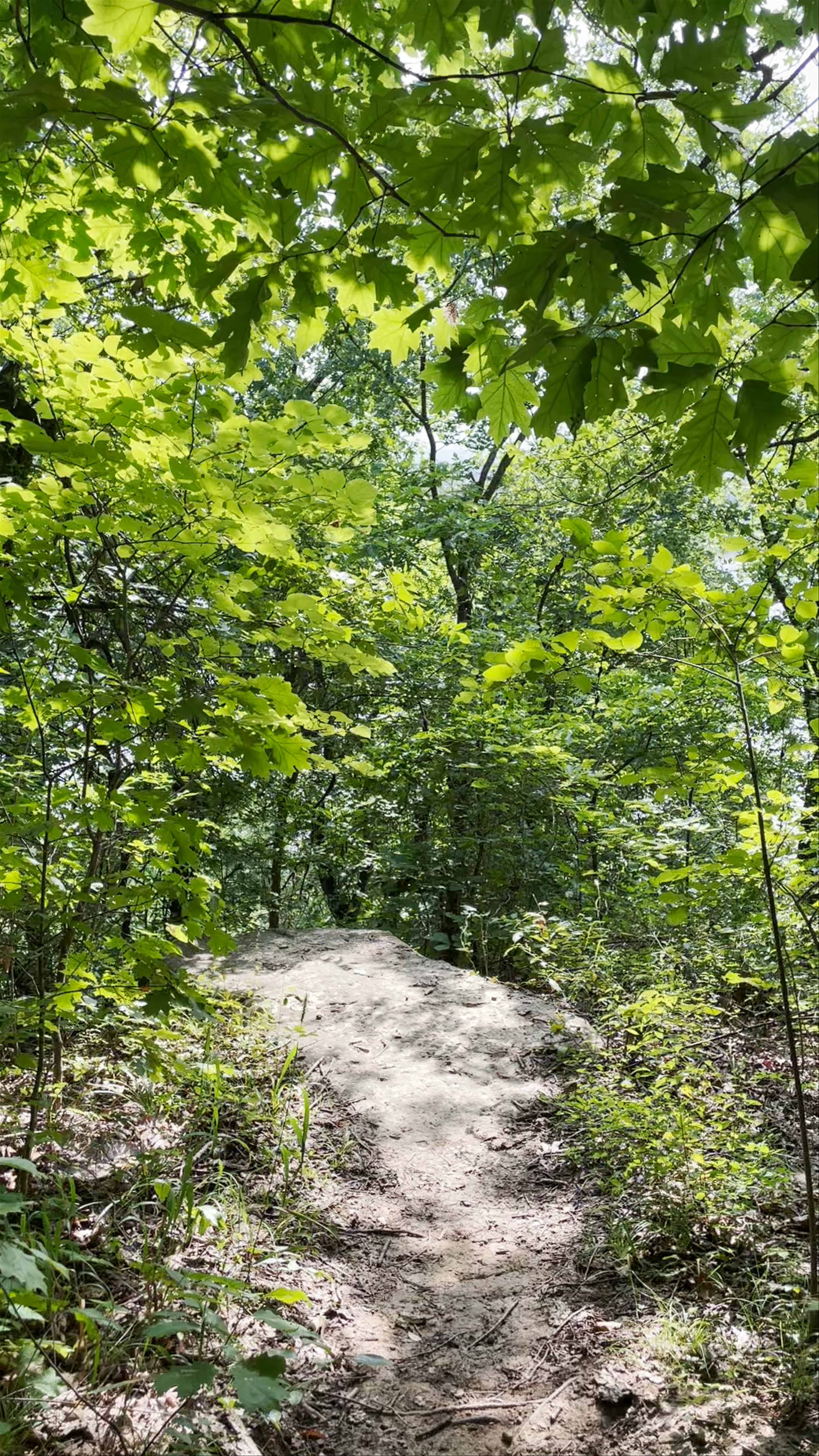 Turkey Mountain Hiking Trail in Tulsa, Oklahoma